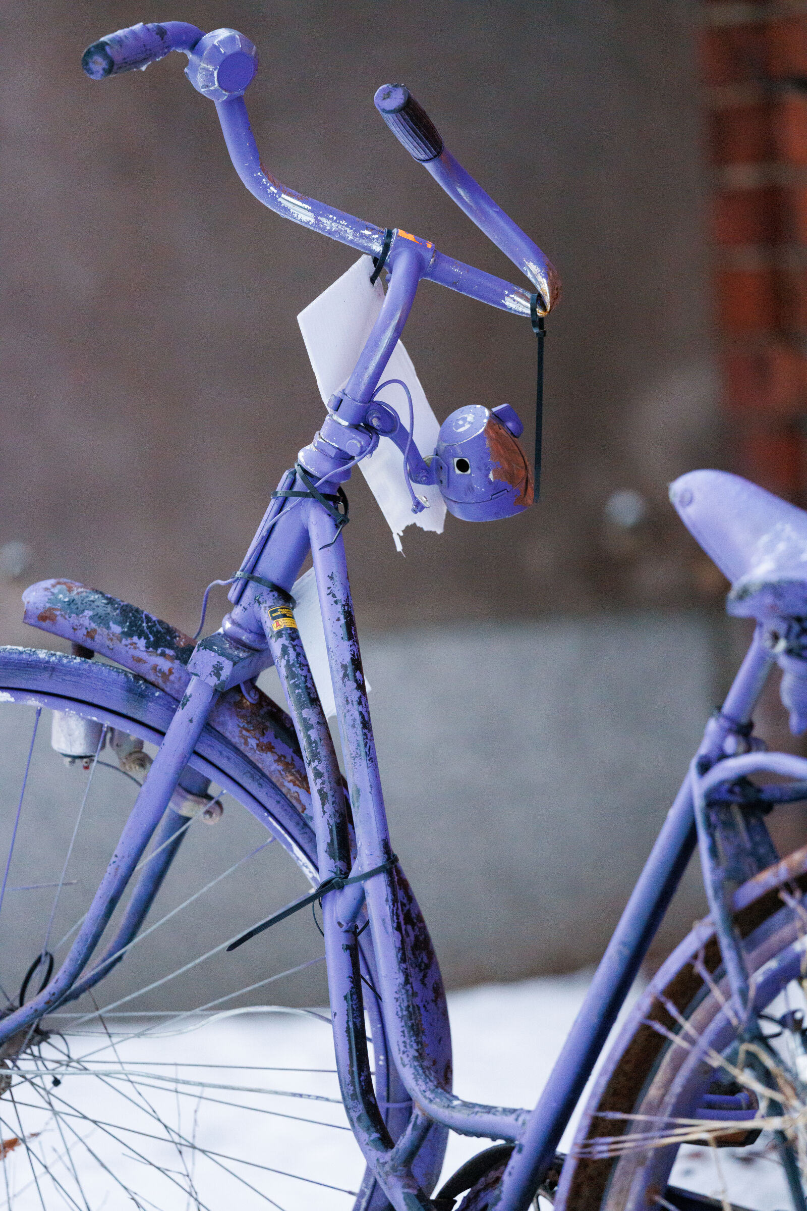 Canon RF 400mm F2.8L IS USM sample photo. Painted bicycle photography