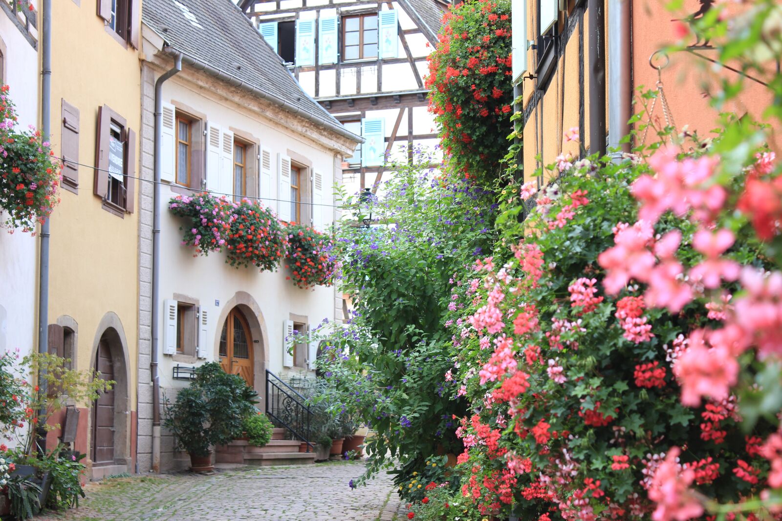 Canon EOS 600D (Rebel EOS T3i / EOS Kiss X5) sample photo. France, alsace, eguisheim photography