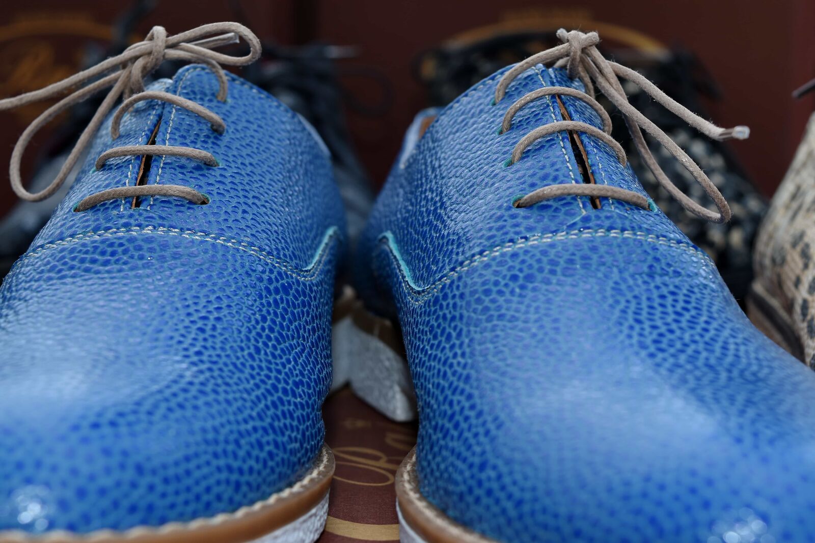Nikon D5500 sample photo. Elegant, leather, shoe, shoes photography