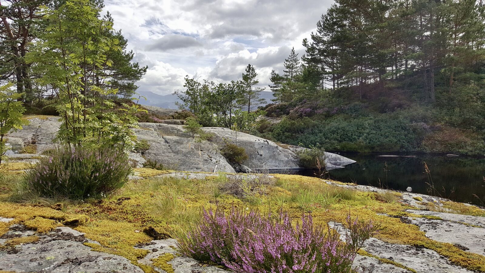 Samsung GALAXY S6 edge sample photo. Norway, landscape, fjord photography