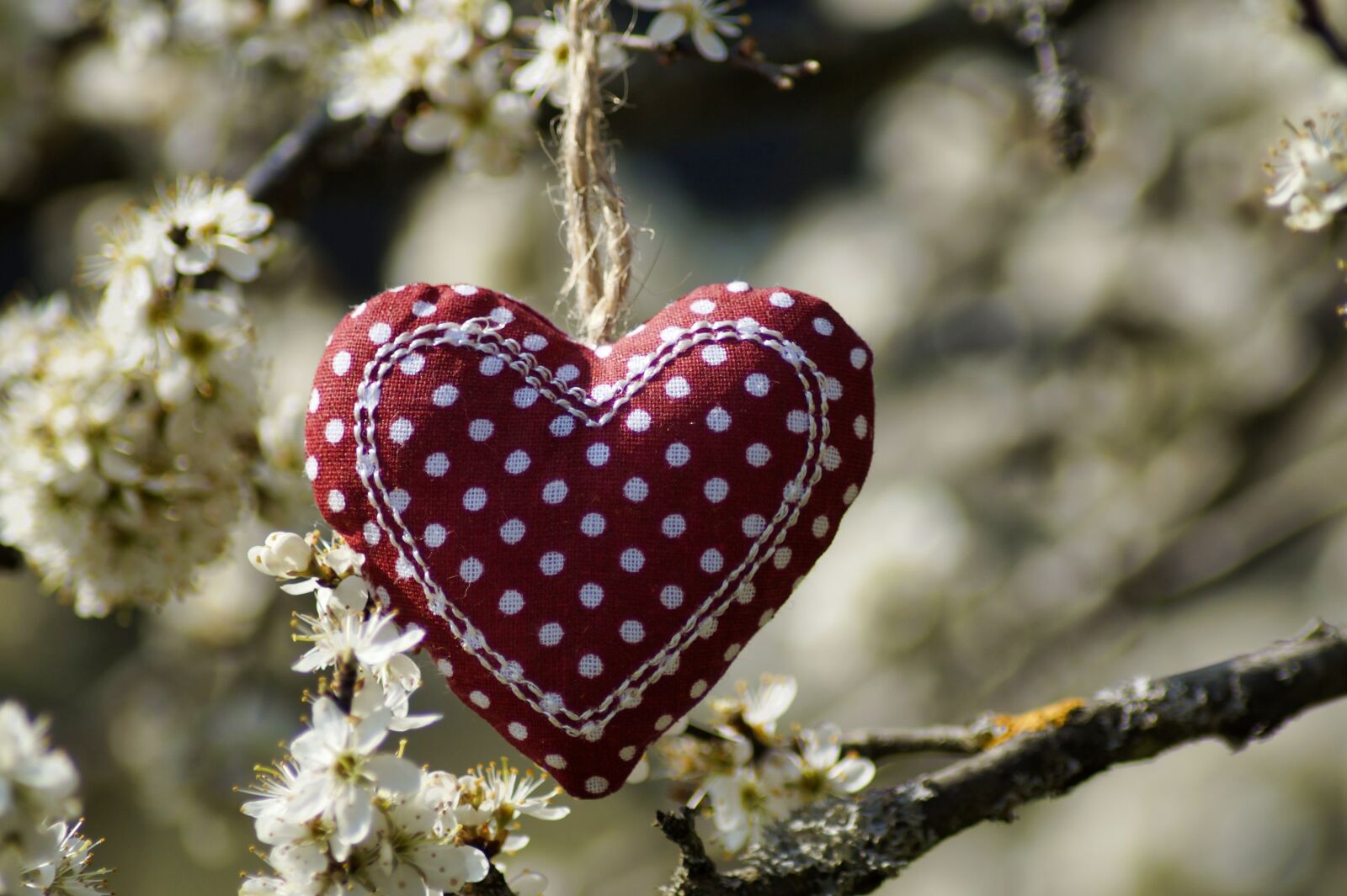 Sony SLT-A58 sample photo. Heart, trailers, love photography