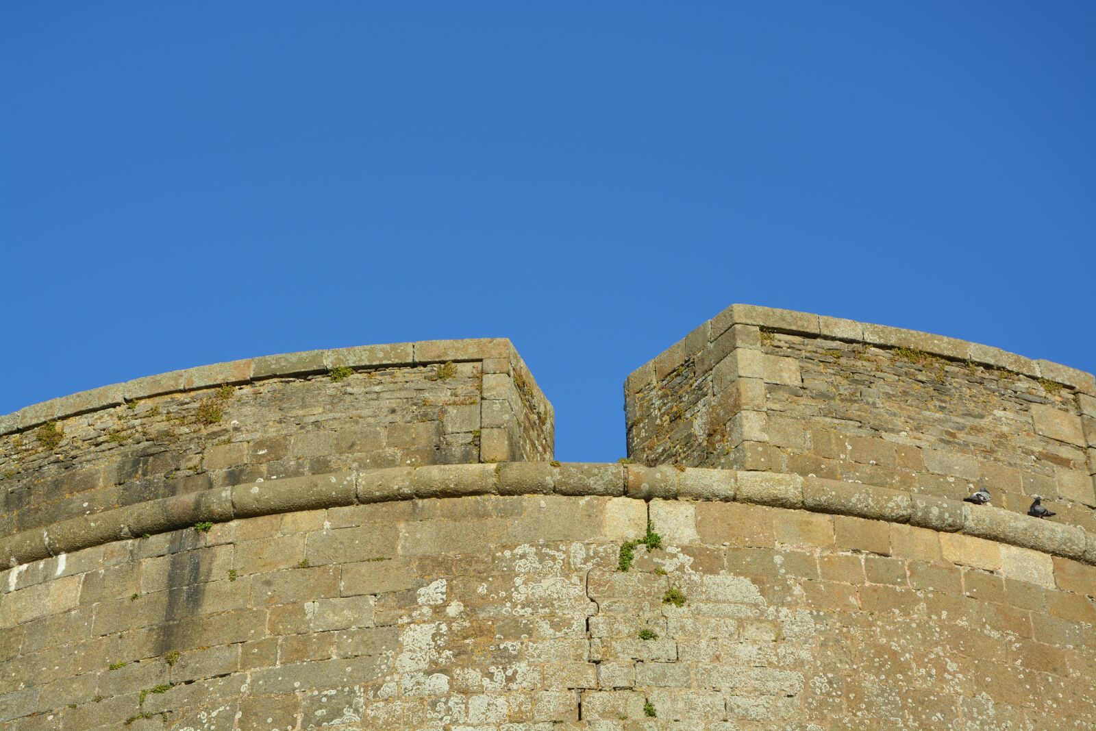 Nikon D5200 sample photo. Niche, castle, saint malo photography