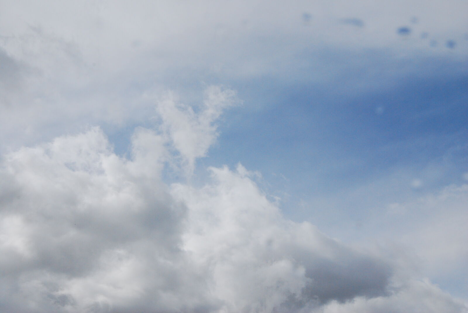Nikon D60 sample photo