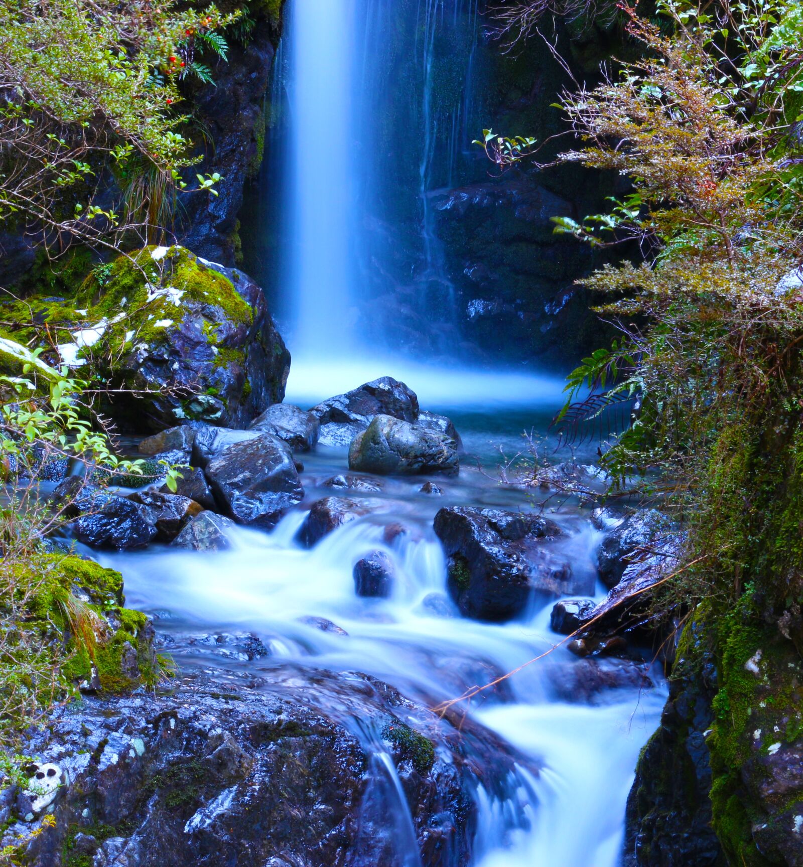Canon EOS 700D (EOS Rebel T5i / EOS Kiss X7i) sample photo. Water, fall, plants photography