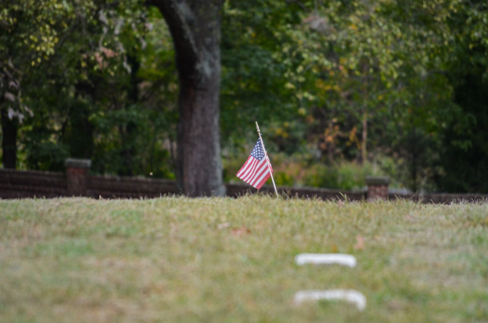 Nikon D5100 sample photo. American flag, cemetery, outdoors photography