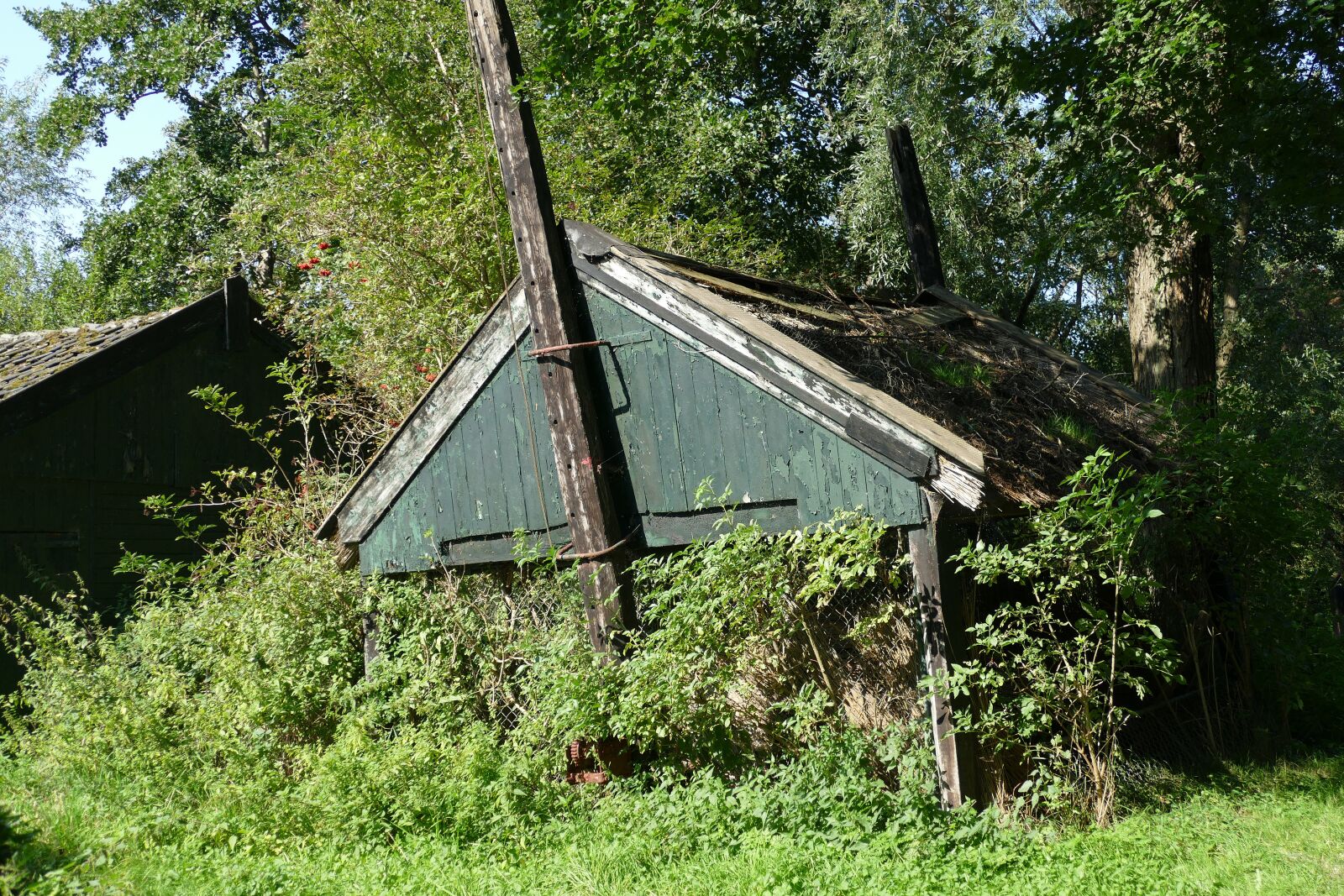 Panasonic Lumix DMC-FZ1000 sample photo. Barn, stable, skewed photography