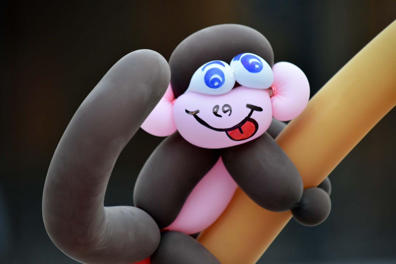 Nikon D5500 sample photo. Balloon, handmade, toys, toy photography
