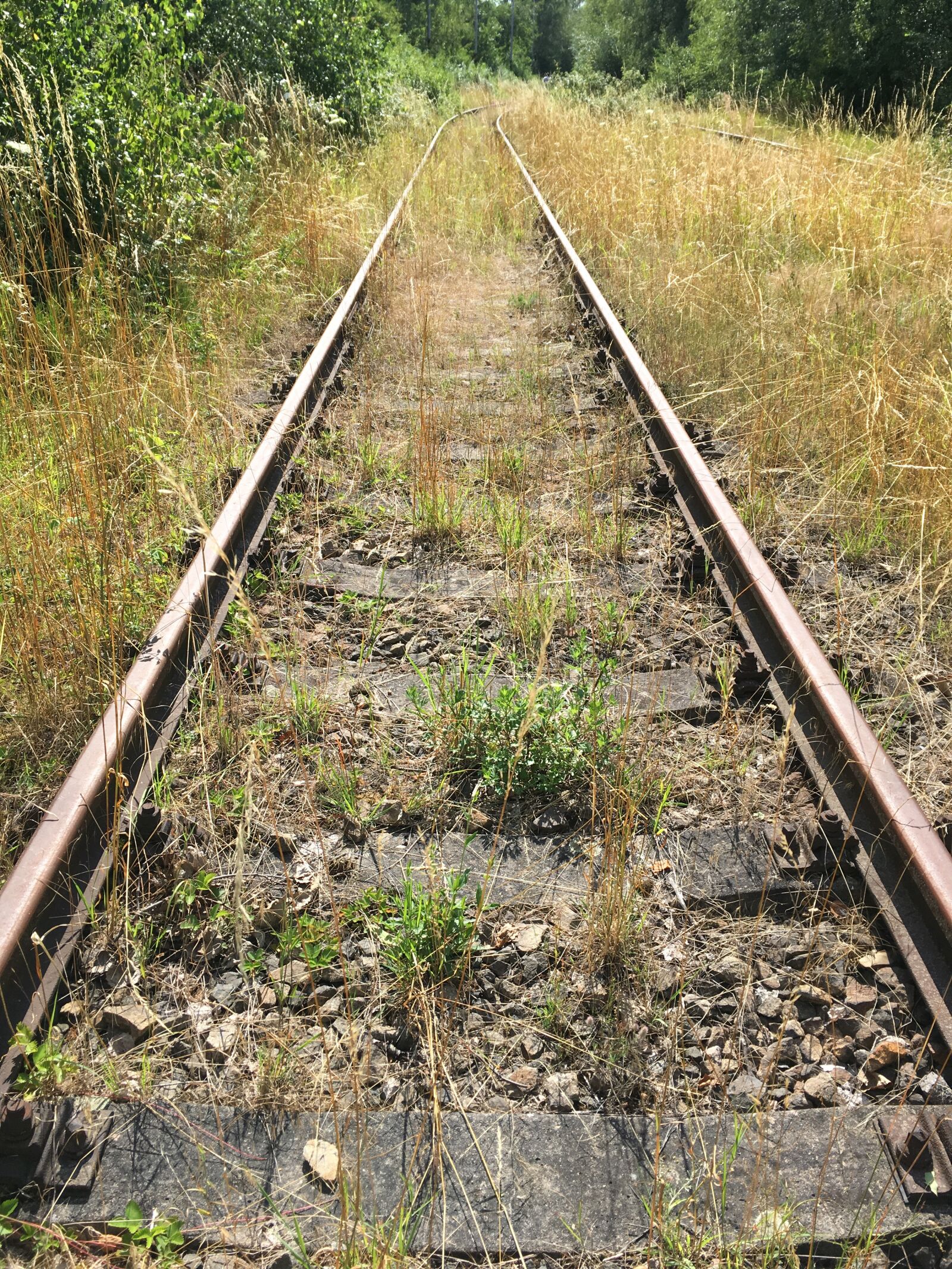 Apple iPhone SE sample photo. Track, train, rail photography