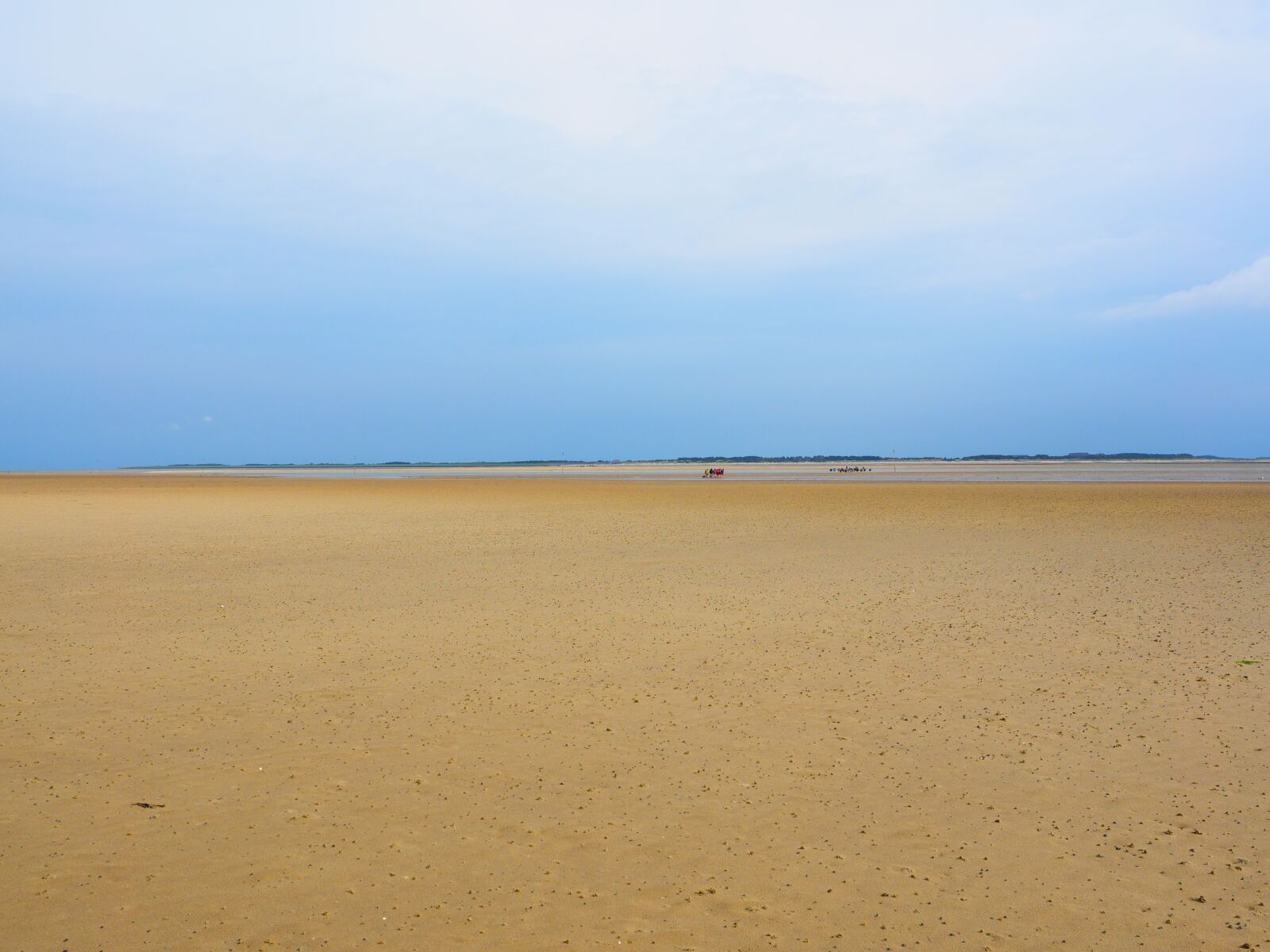 Olympus OM-D E-M1 + Olympus M.Zuiko Digital ED 12-40mm F2.8 Pro sample photo. Watts, wadden sea, sand photography