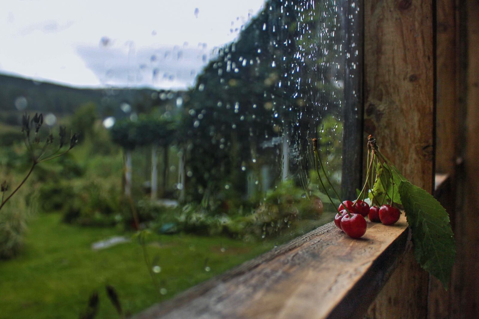 Canon EOS 500D (EOS Rebel T1i / EOS Kiss X3) sample photo. Window, rain, glass photography