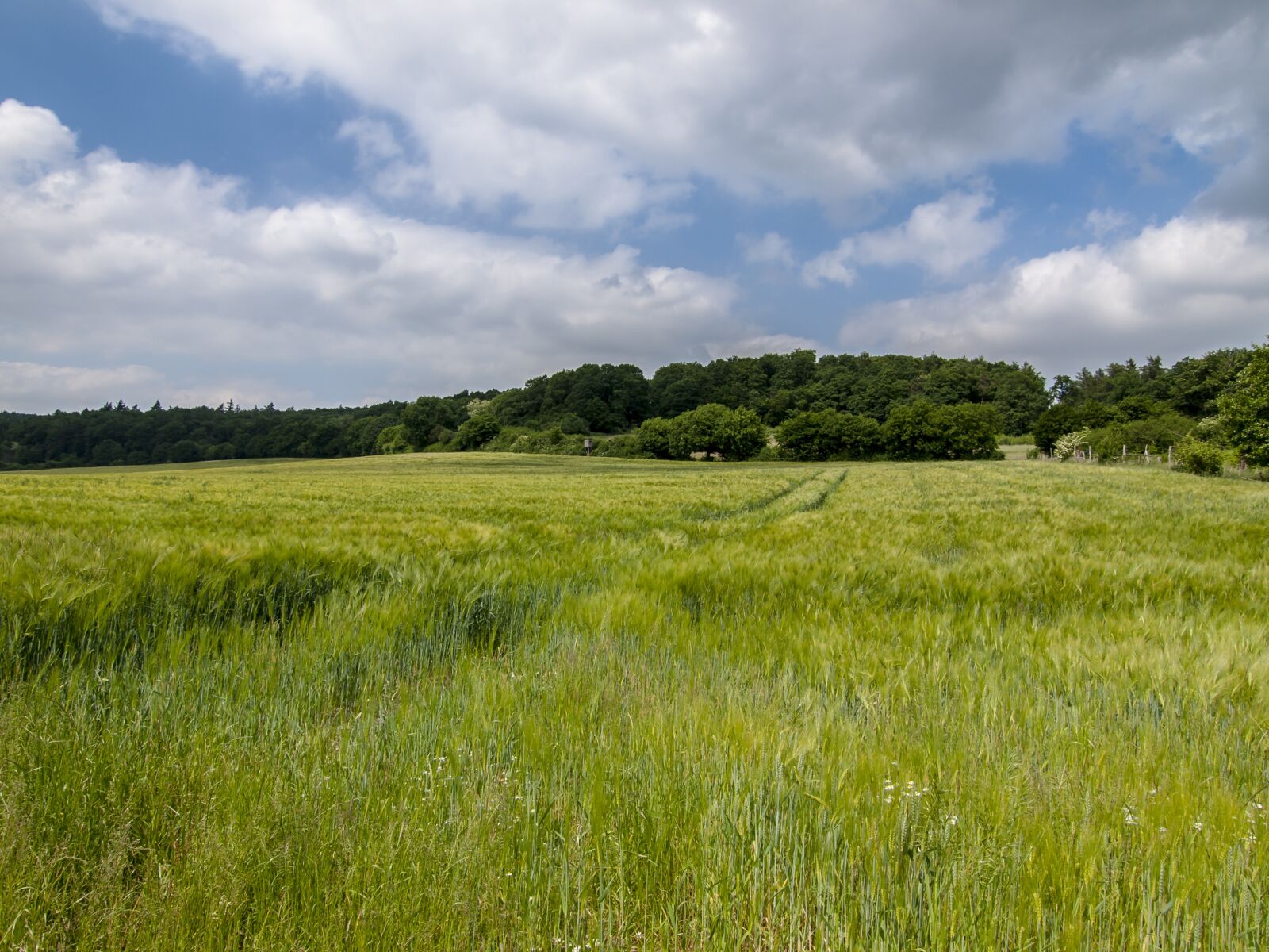 Olympus E-520 (EVOLT E-520) + OLYMPUS 11-22mm Lens sample photo. Landscape, field, clouds photography