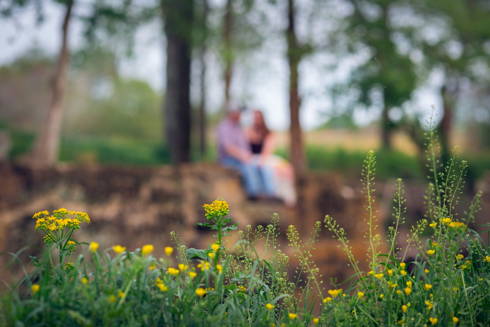 Canon EF 135mm F2L USM sample photo. Couple, engagement, flower photography