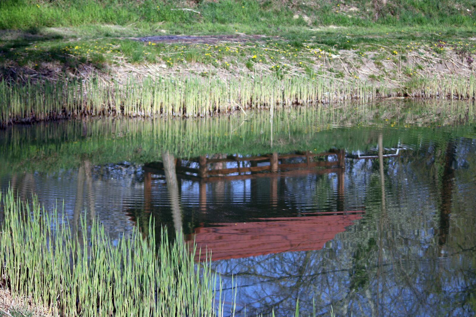 Canon EOS 200D (EOS Rebel SL2 / EOS Kiss X9) sample photo. Mirror, reflection, water photography