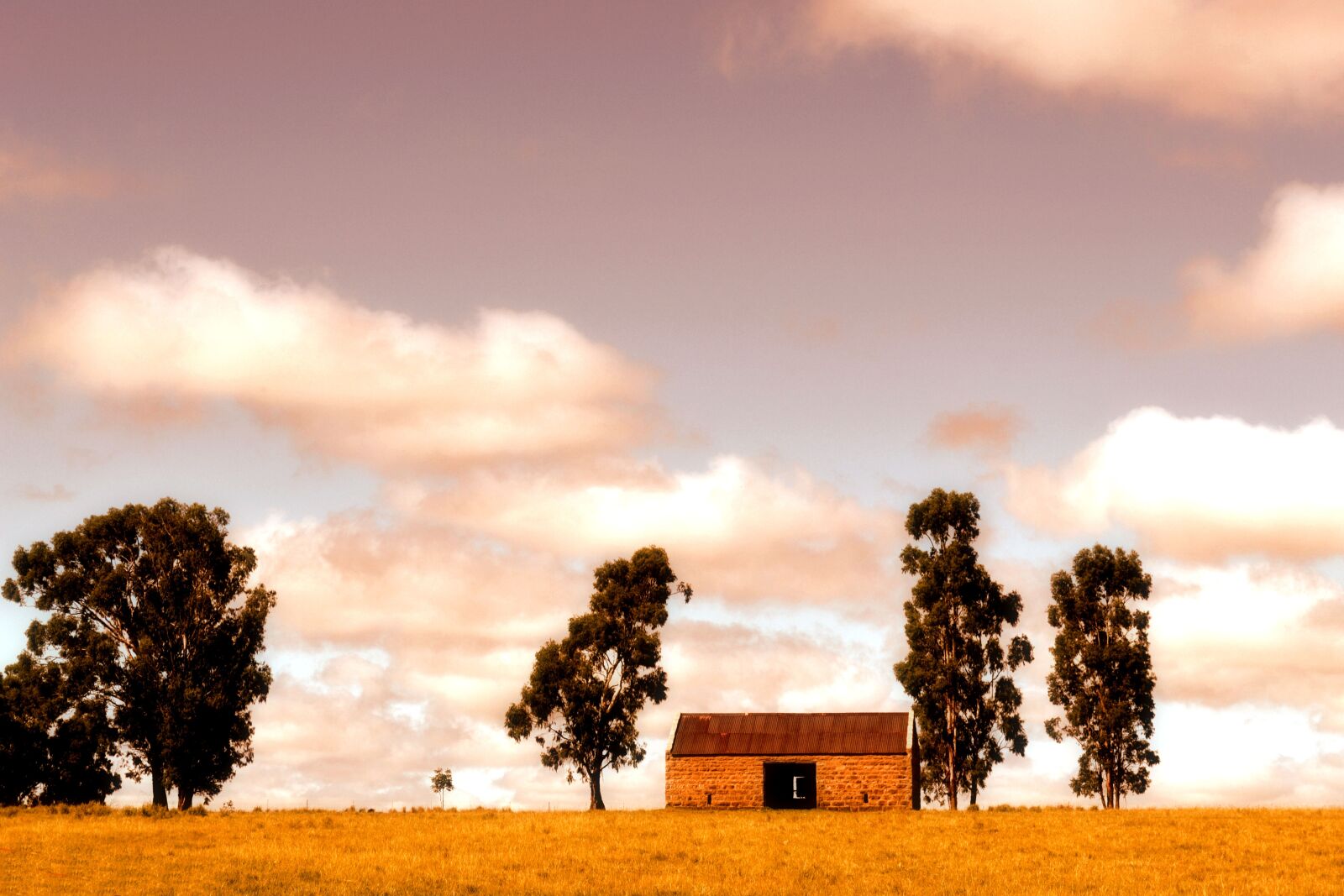Nikon D3100 sample photo. Farming, countryside, landscape photography
