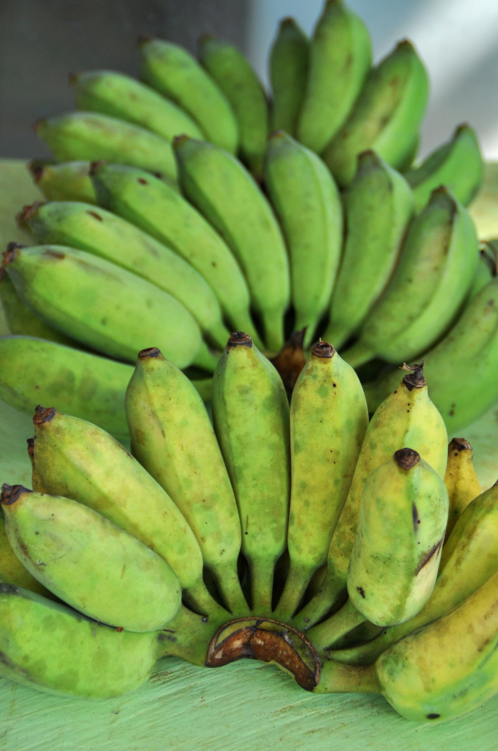 Nikon D5000 sample photo. Bananas, market, green photography