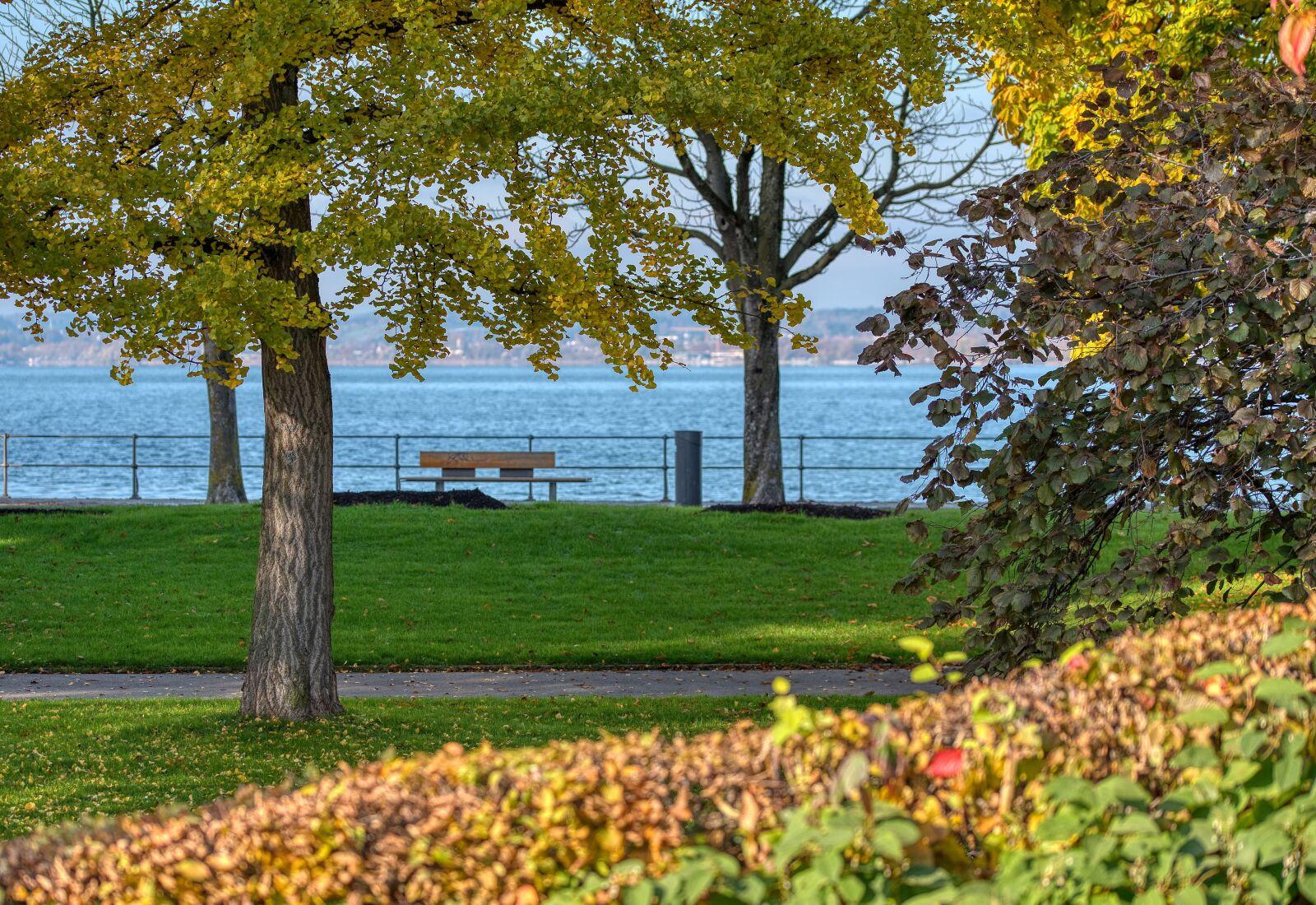 Nikon D750 sample photo. Autumn, season, promenade photography