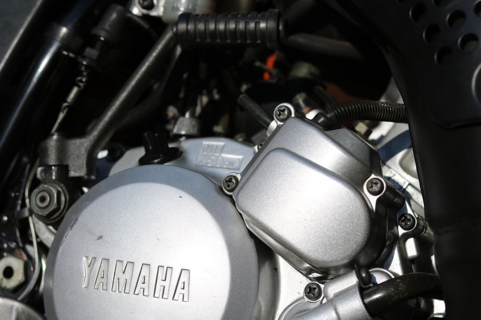 Canon EOS 750D (EOS Rebel T6i / EOS Kiss X8i) sample photo. Motor, moped, two wheeled photography
