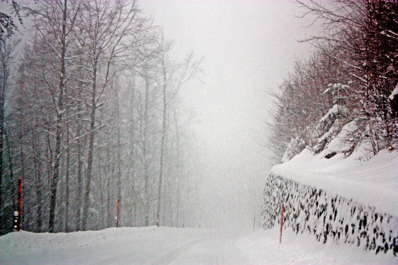 Canon EOS 450D (EOS Rebel XSi / EOS Kiss X2) sample photo. Cold, lonesome, road, slippery photography