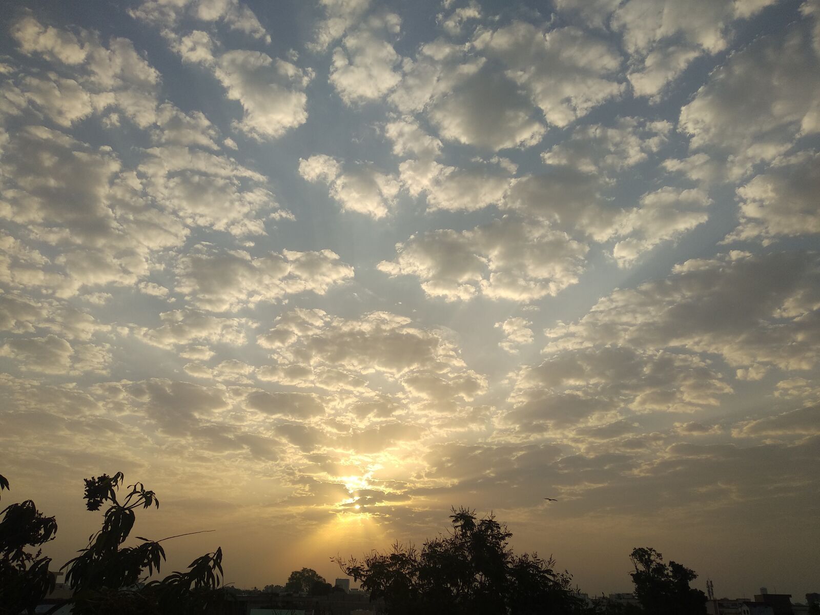 Xiaomi Mi A1 sample photo. Sun rise, morning sun photography