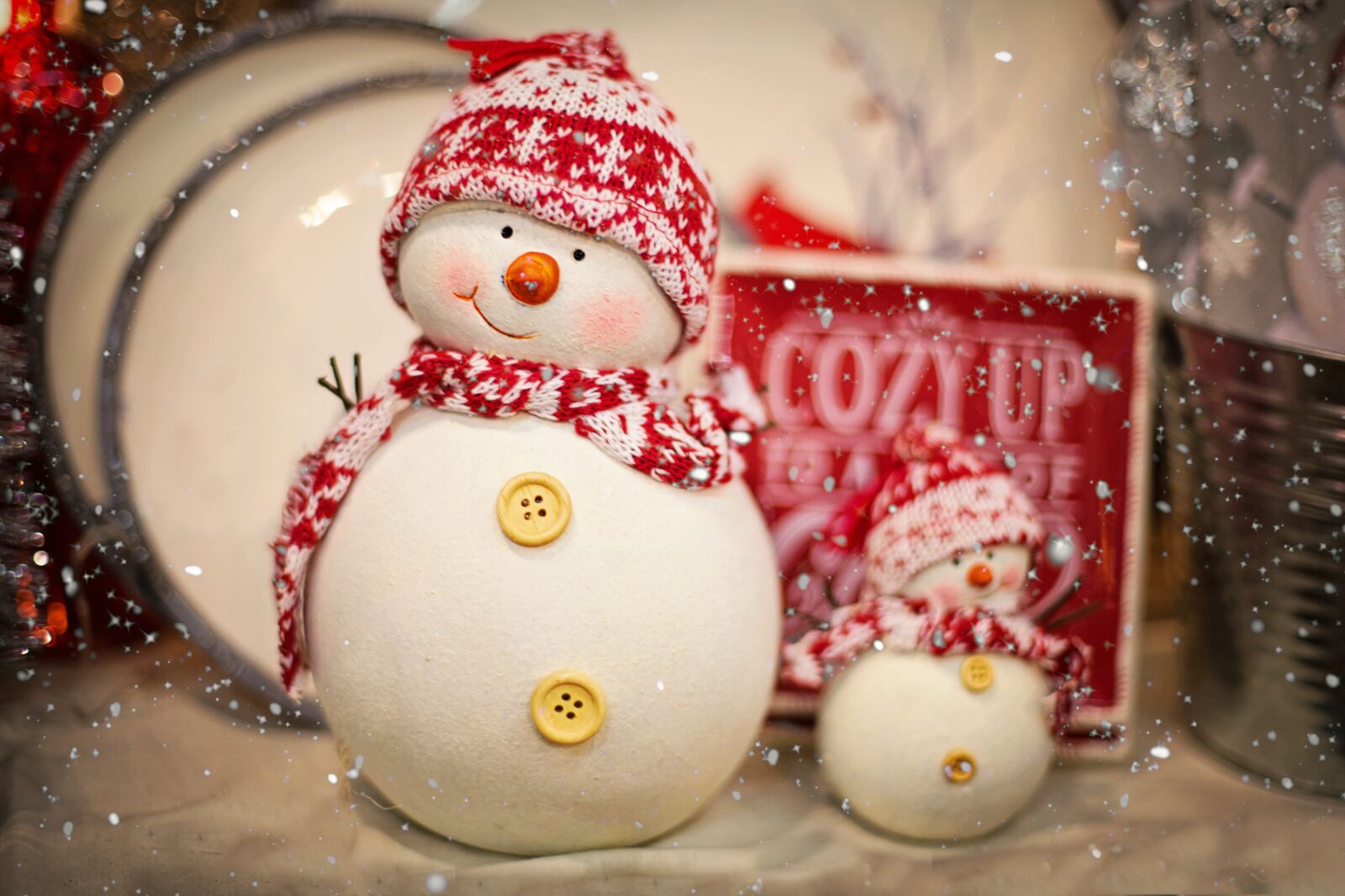 Canon EF 50mm F1.4 USM sample photo. Snowman, red, christmas photography