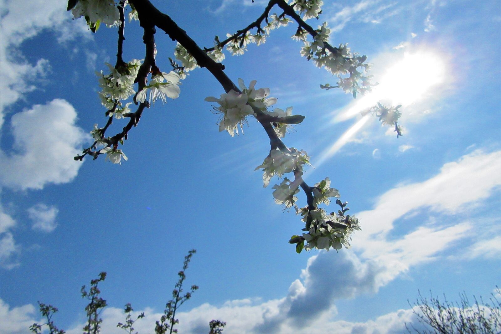 Свежесть весеннего воздуха. Весеннее небо. Небо весной.