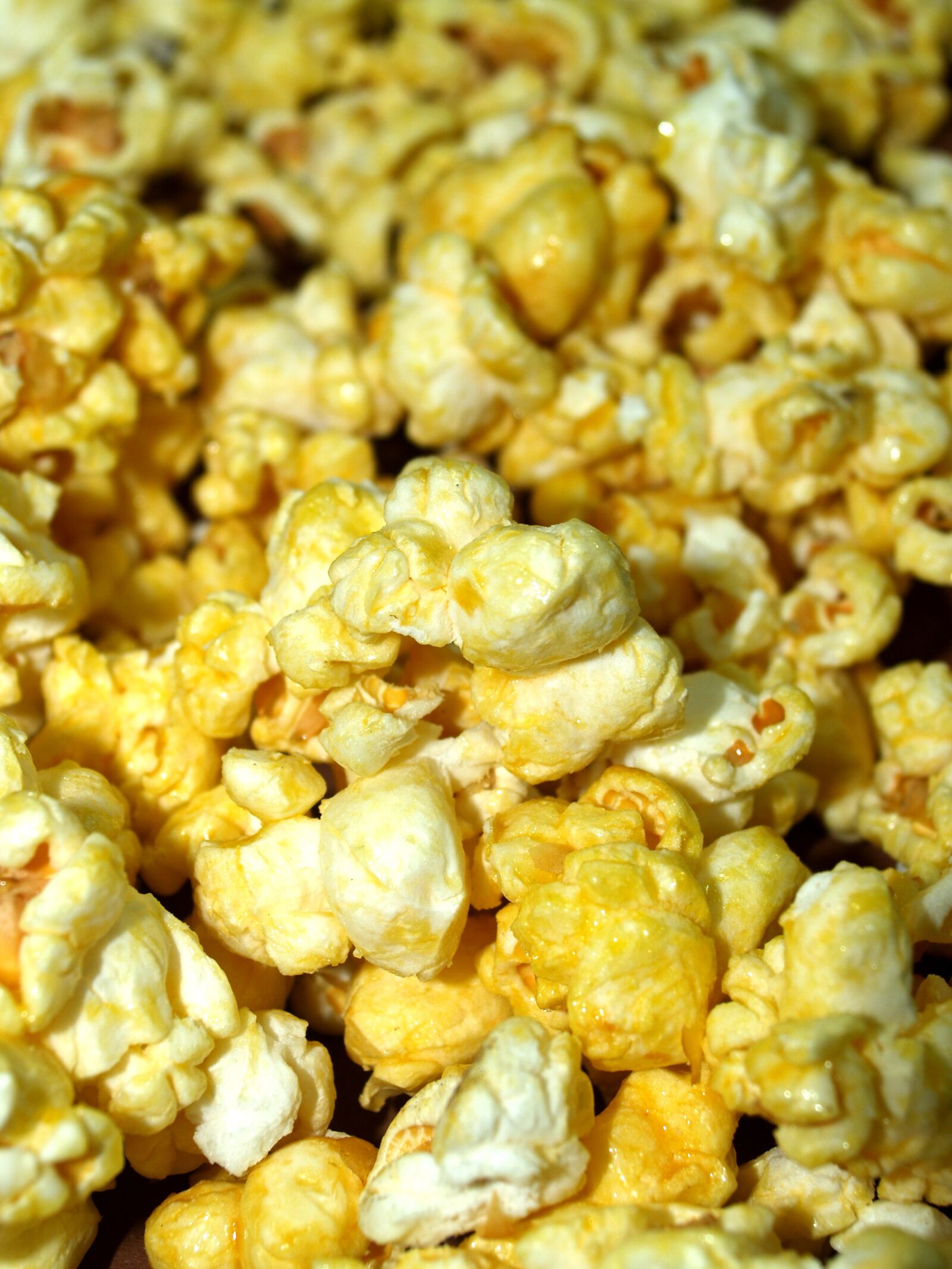 Olympus E-300 (EVOLT E-300) sample photo. Popcorn, corn, pop photography