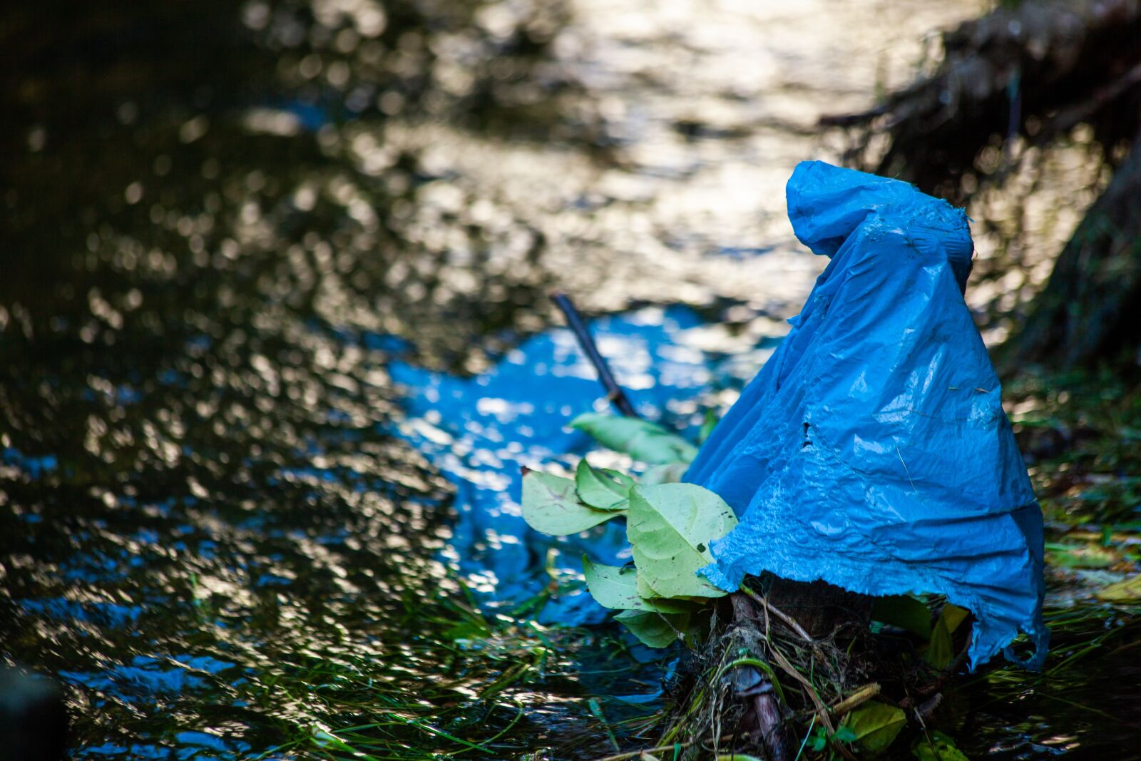 Canon EOS 5D Mark II + Canon EF 70-300mm F4-5.6 IS USM sample photo. Plastic in the river photography