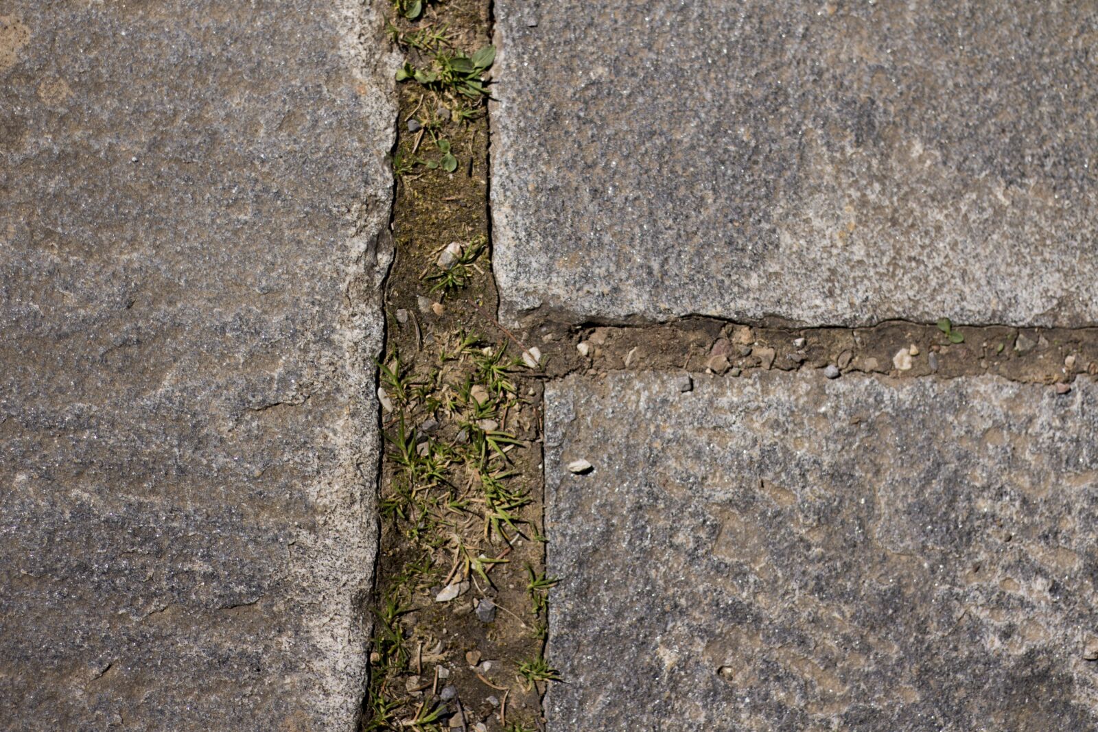 Canon EOS 650D (EOS Rebel T4i / EOS Kiss X6i) + Canon EF 50mm F1.8 STM sample photo. Background, brick, texture photography