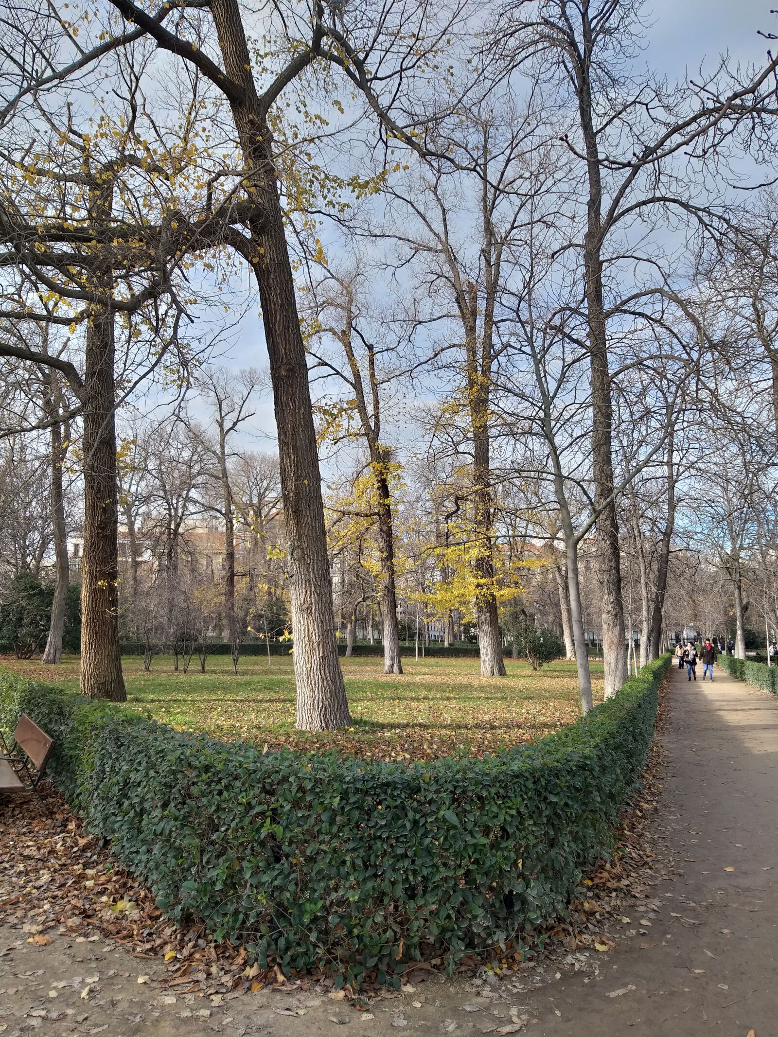 Samsung Galaxy J8 sample photo. Nature, madrid, spain photography