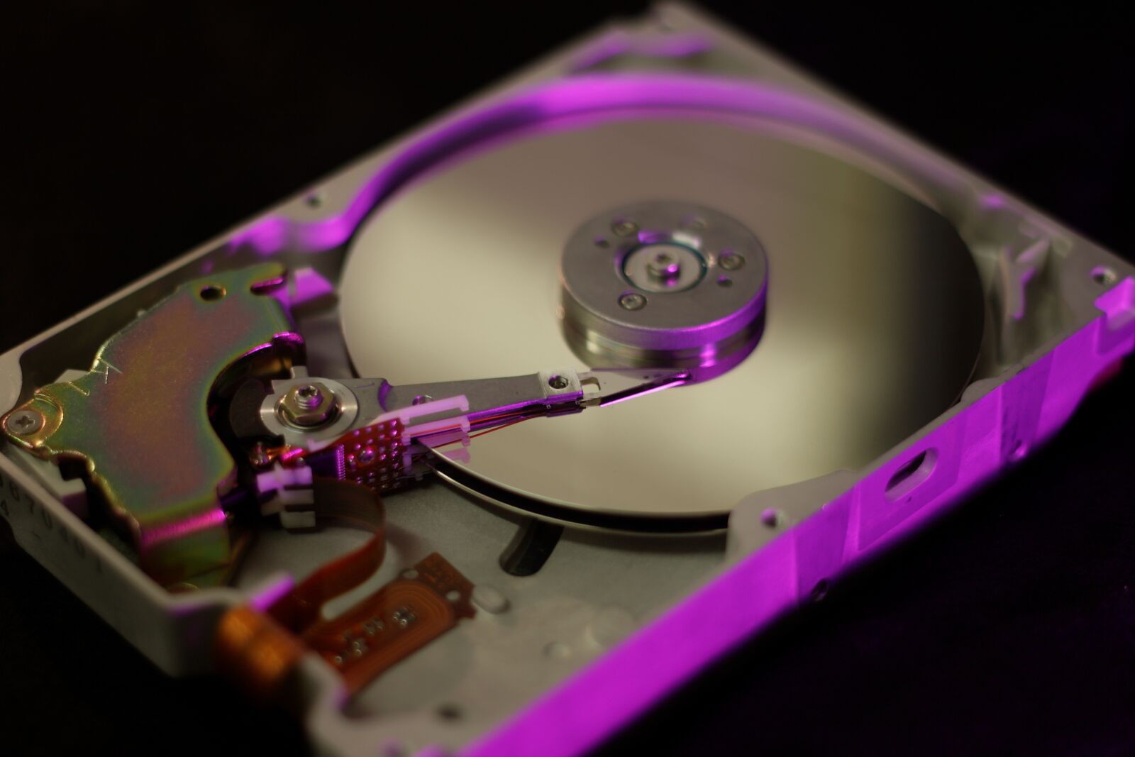 Canon EOS 20D sample photo. Hard disc, data, backup photography