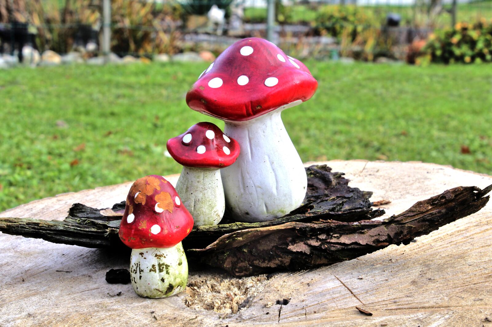 Canon EOS 600D (Rebel EOS T3i / EOS Kiss X5) sample photo. Mushroom, figure, ceramic photography
