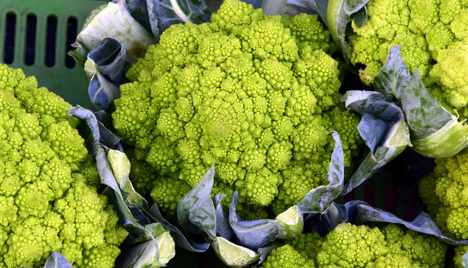 Nikon D3300 sample photo. Broccoli, food, macro, diet photography