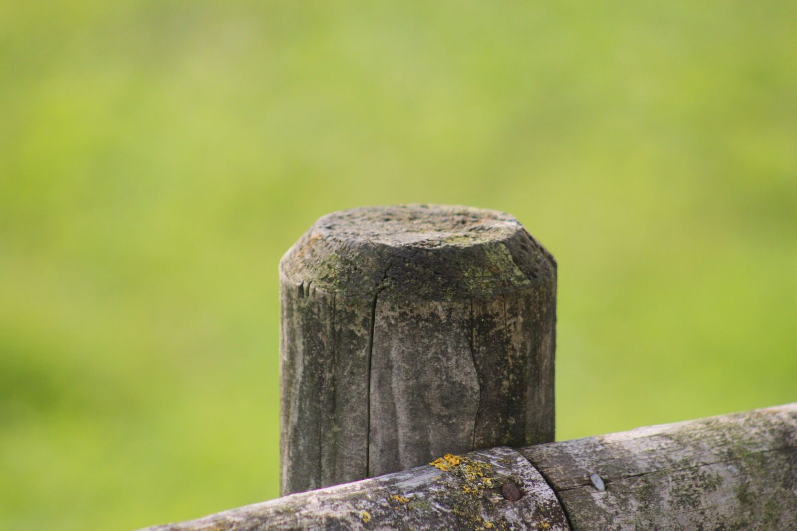 Canon EOS 500D (EOS Rebel T1i / EOS Kiss X3) sample photo. Wood, post, fence photography