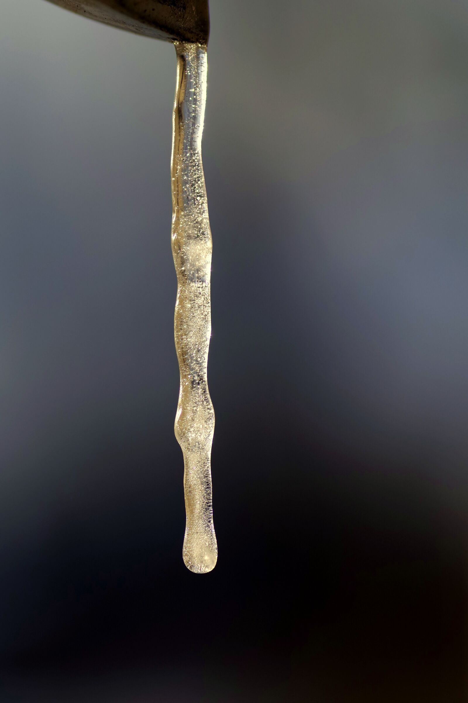 Pentax K-S2 sample photo. Icicle, frost, winter photography