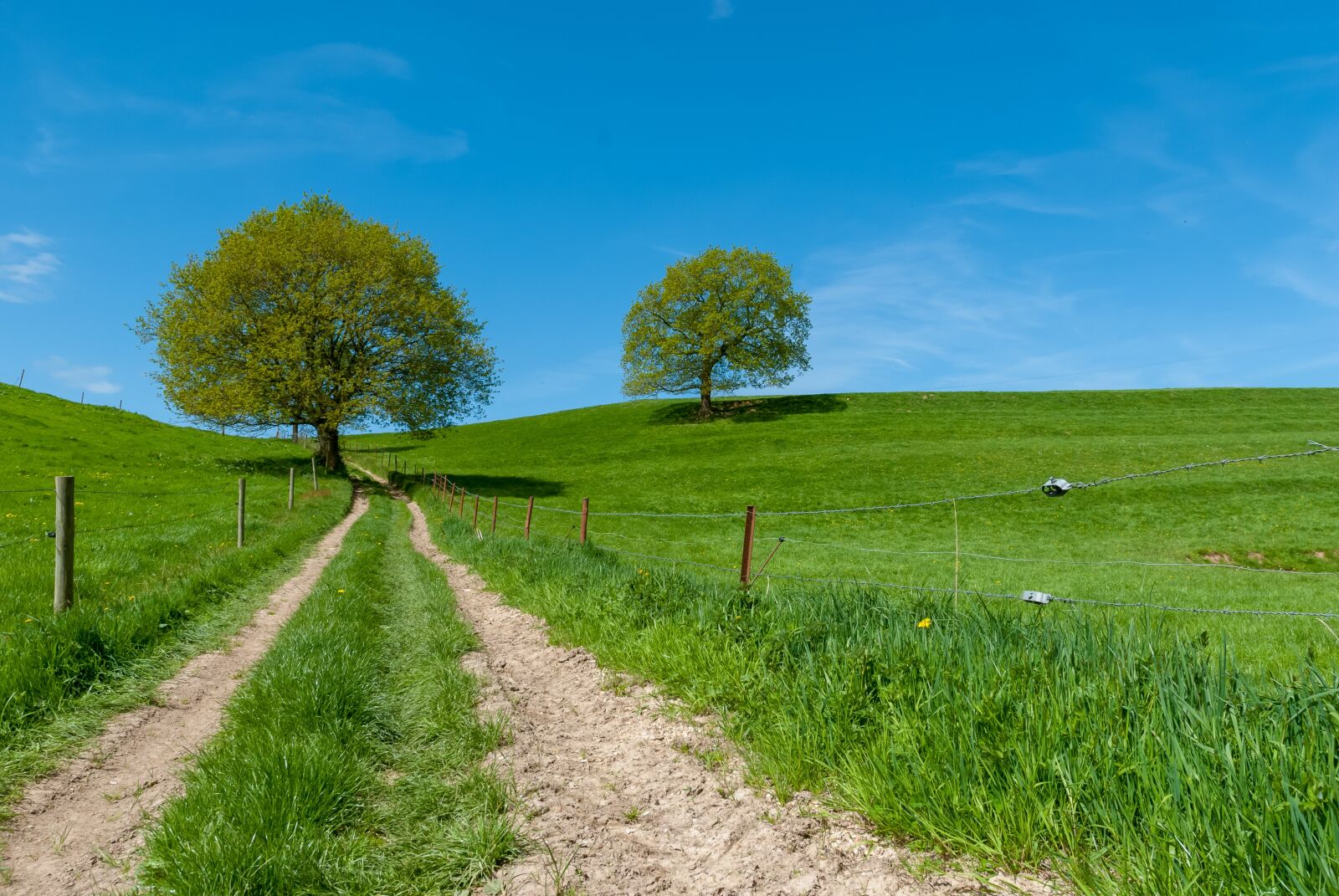 Nikon D80 sample photo. Landscape, normandy, france photography