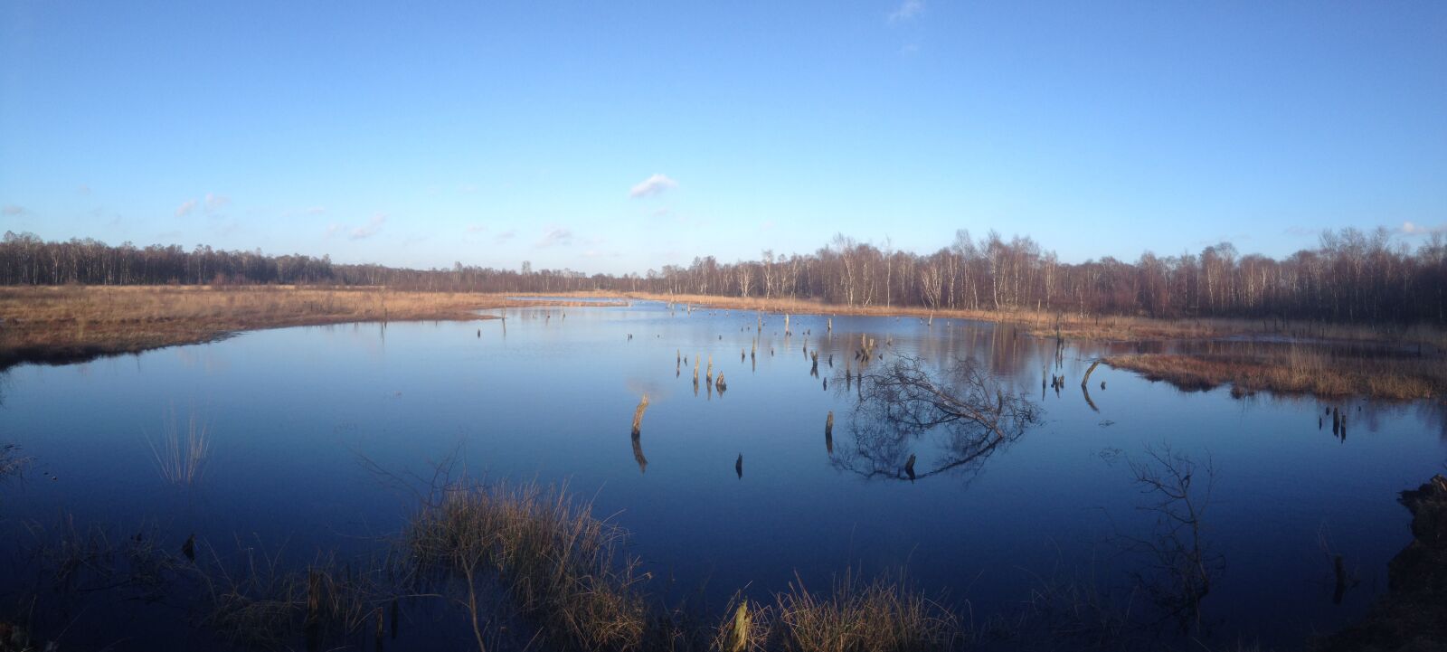 Apple iPhone 4S sample photo. Moor, water, wittmoor photography