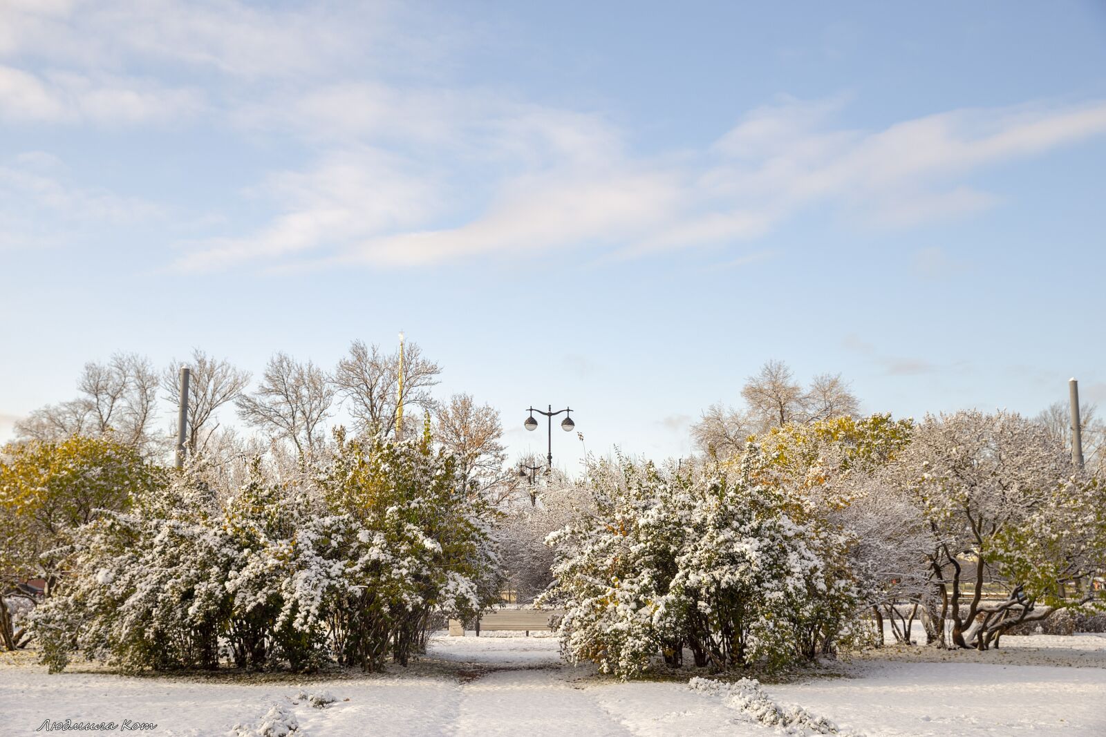 Canon EF 24-70mm F2.8L II USM sample photo. The first snow, snow photography