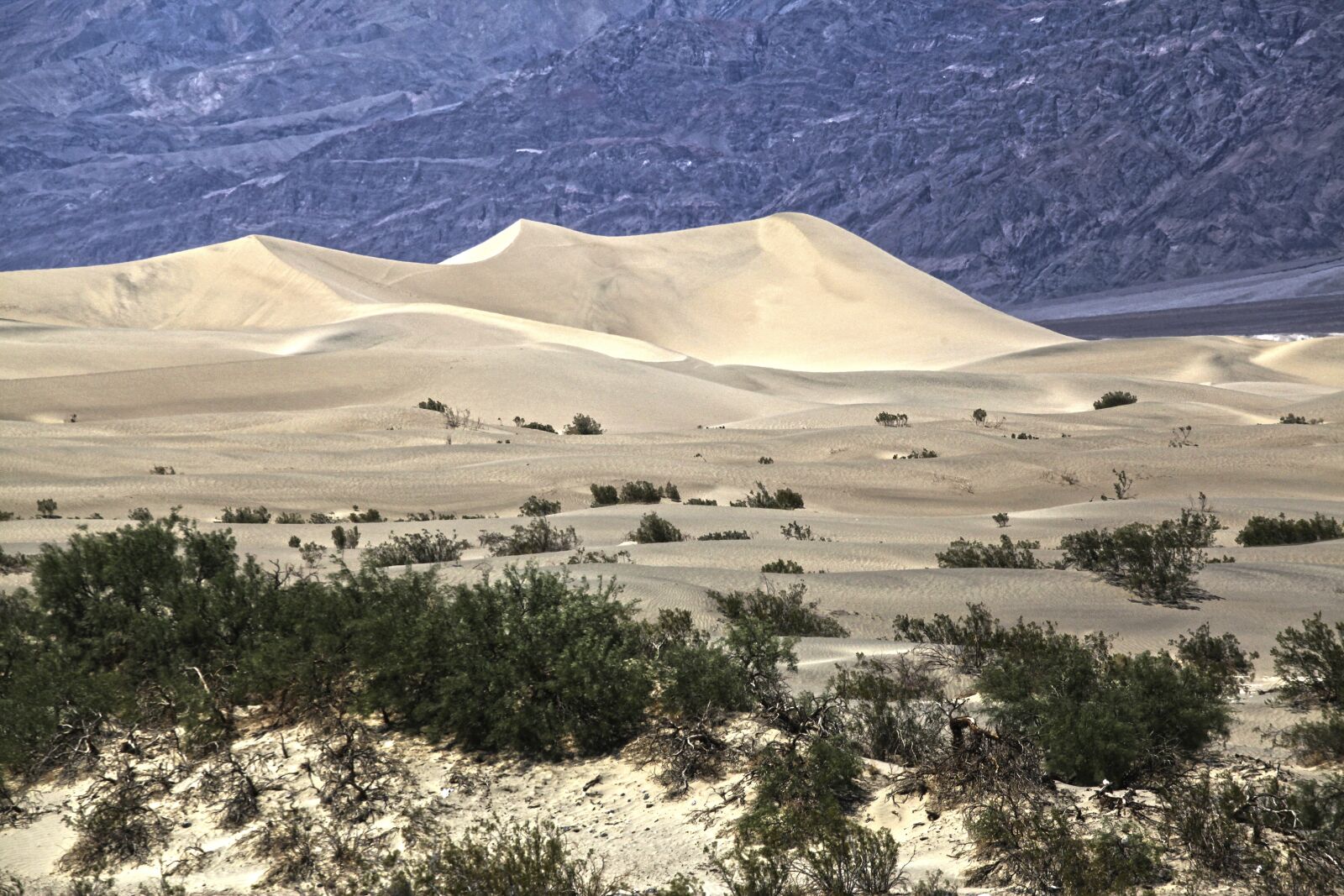 Canon EOS 5D Mark II sample photo. Landscape, usa, desert photography