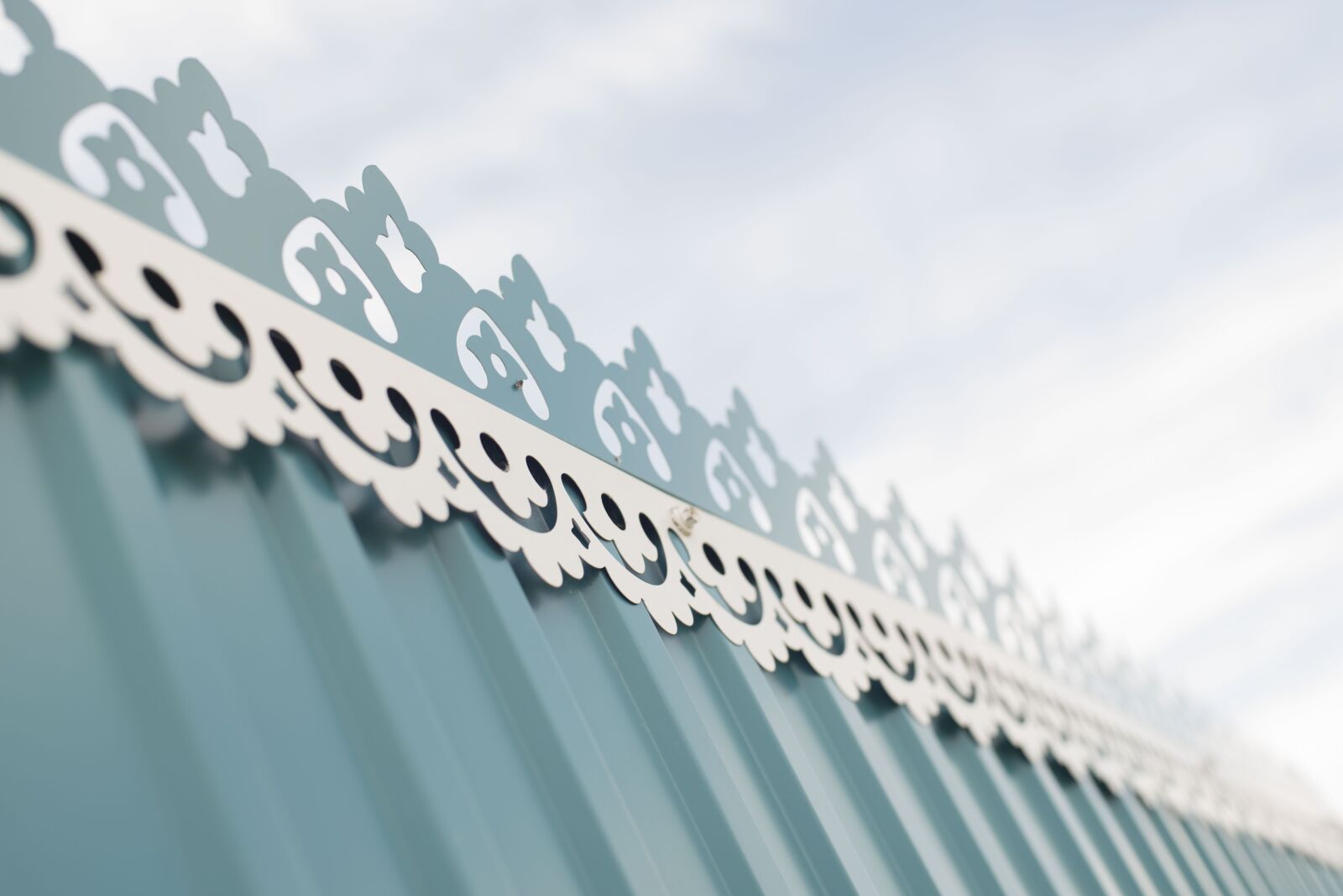 Nikon D750 sample photo. Pattern, on, fence photography