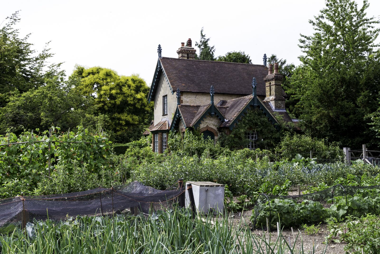 Canon EOS-1D X + Canon EF 24-70mm F2.8L USM sample photo. Edwardian cottage, traditional vegetable photography