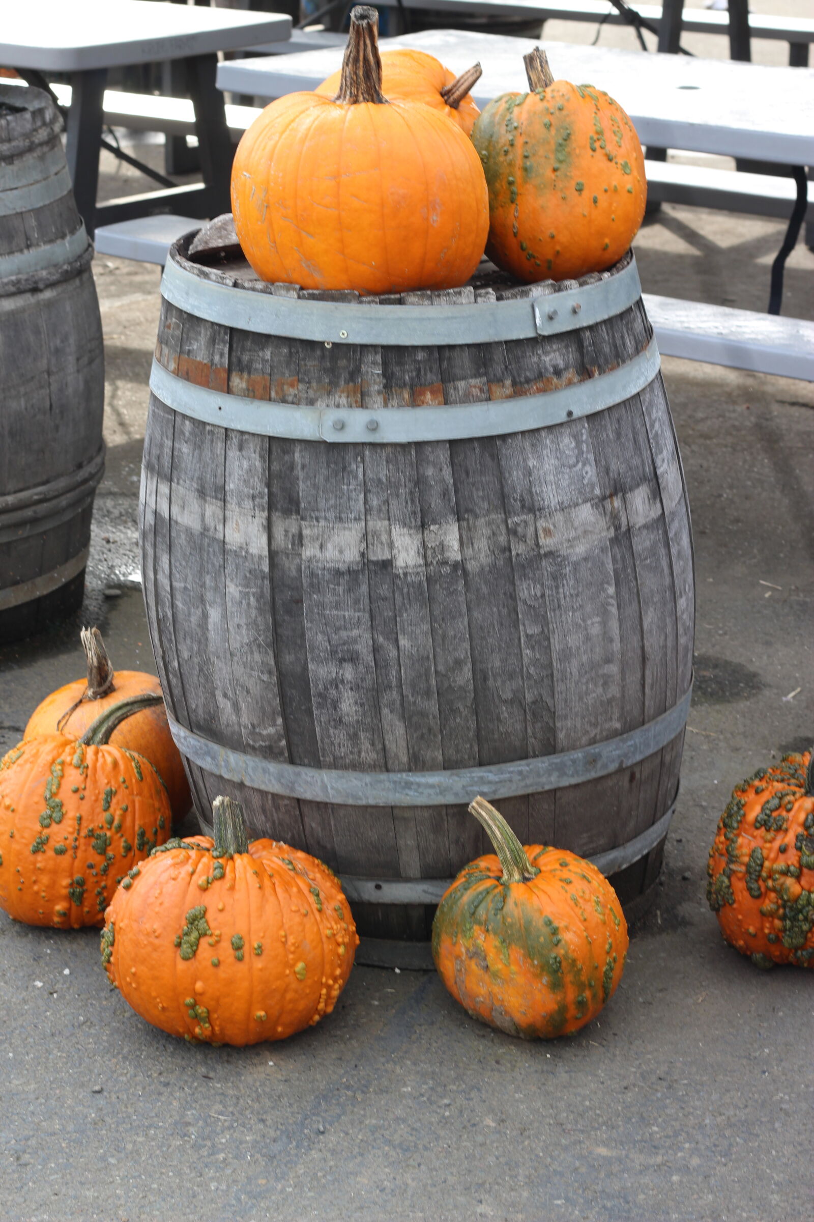 Canon EOS 1200D (EOS Rebel T5 / EOS Kiss X70 / EOS Hi) sample photo. Fall, october, pumpkin photography
