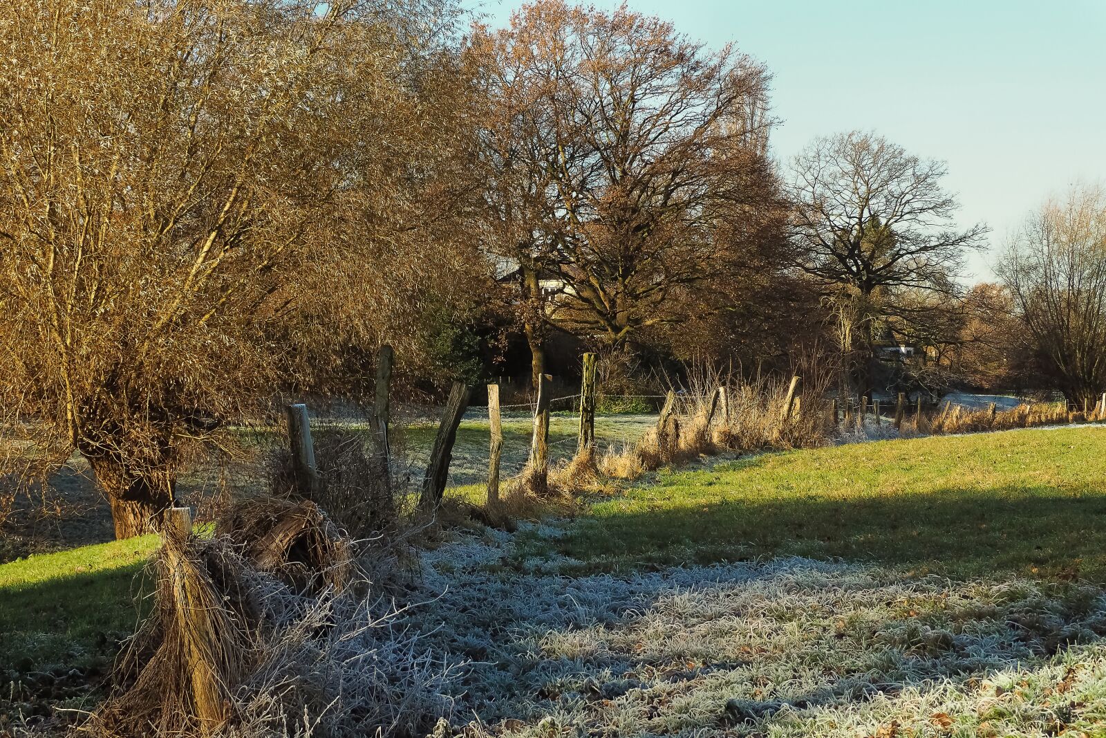 Olympus OM-D E-M10 sample photo. Landscape, nature, mood photography
