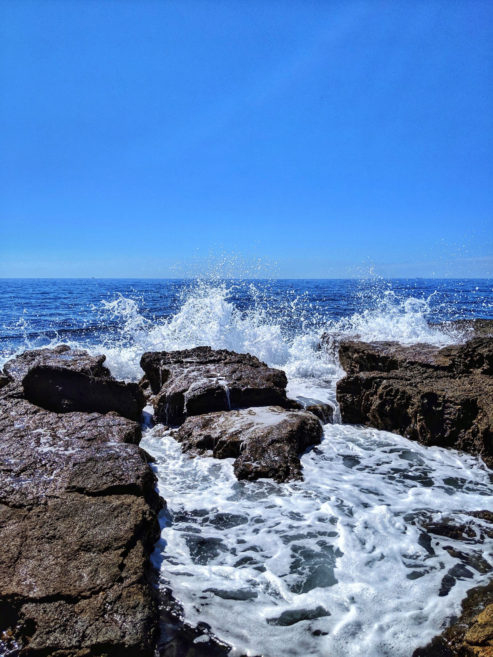 Google Pixel 3 XL sample photo. Sasa, ghe, pkj photography