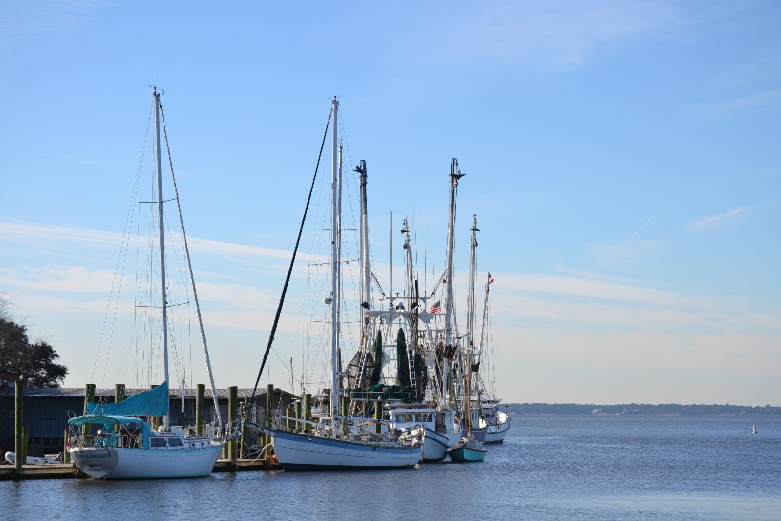 Nikon D3100 sample photo. Fishing, commercial fishing, shem photography