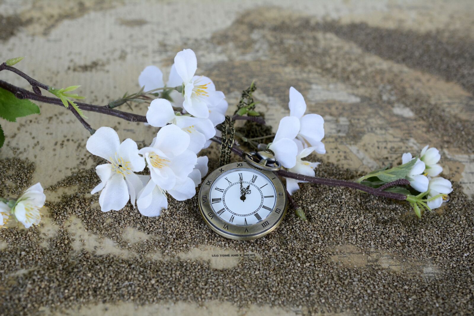 Nikon D7100 sample photo. Pocket watch, time of photography