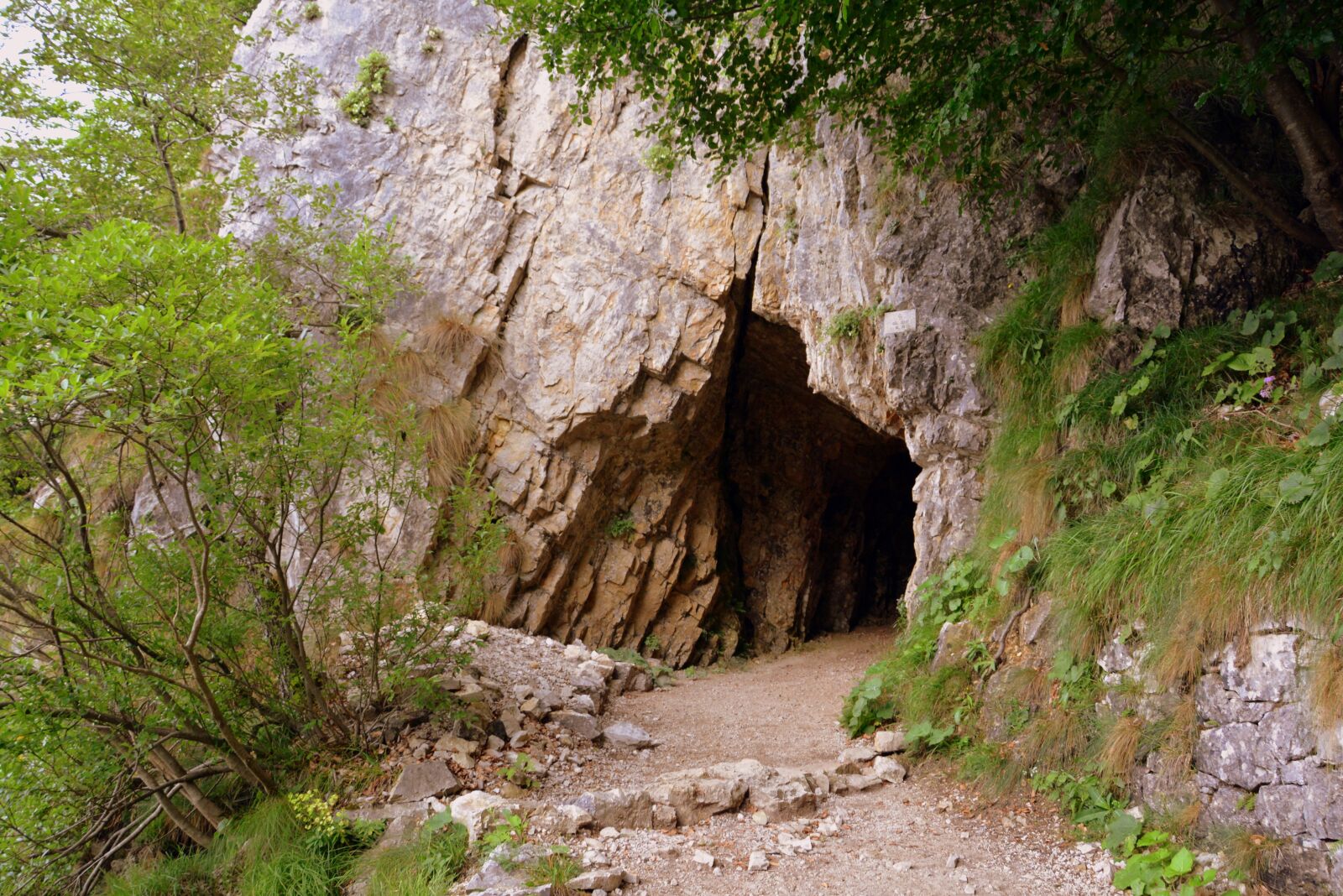 Nikon D7100 sample photo. Entry, gallery, trail photography