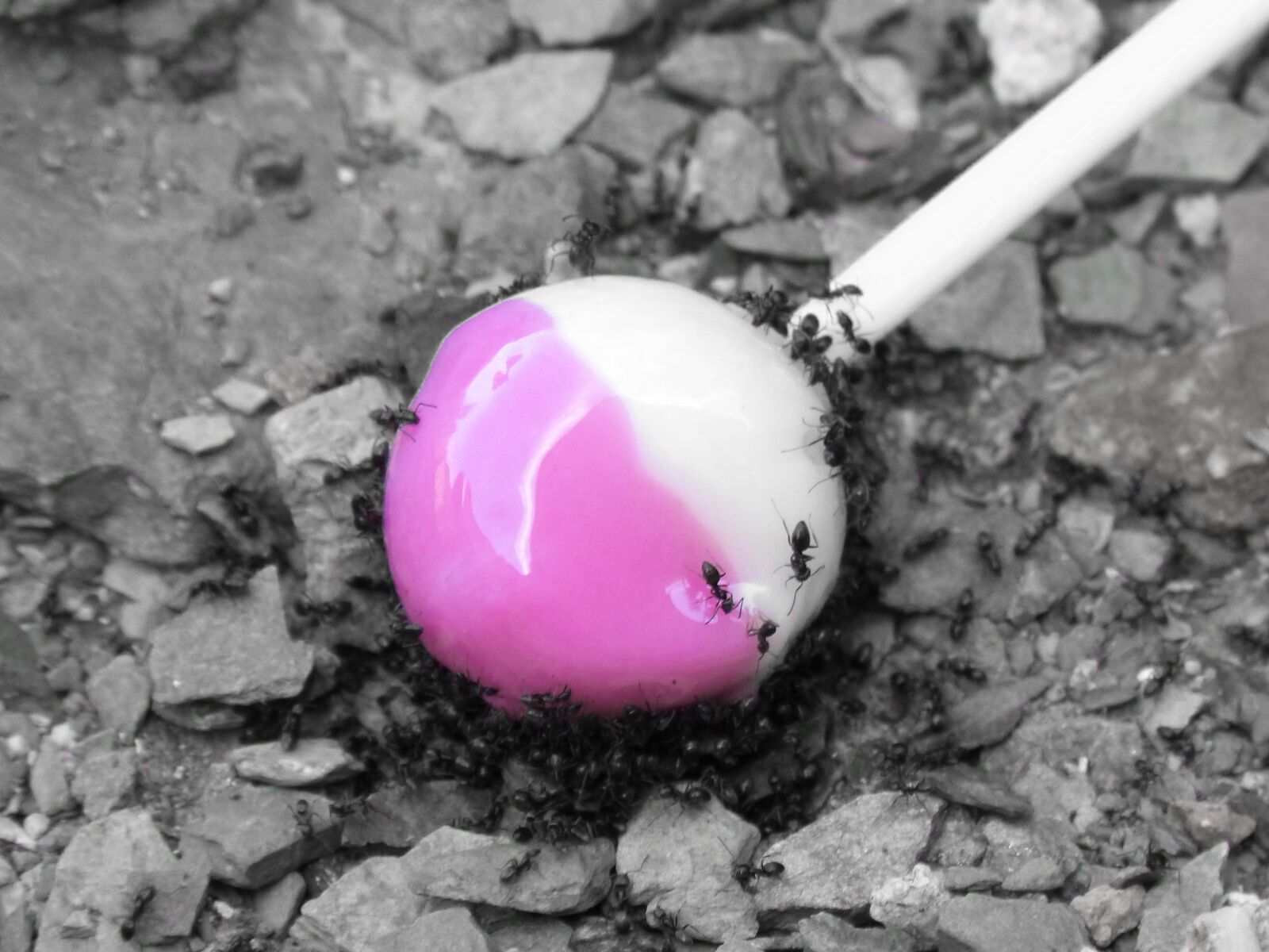 Panasonic DMC-FZ62 sample photo. Chupa chups, piruleta, candy photography