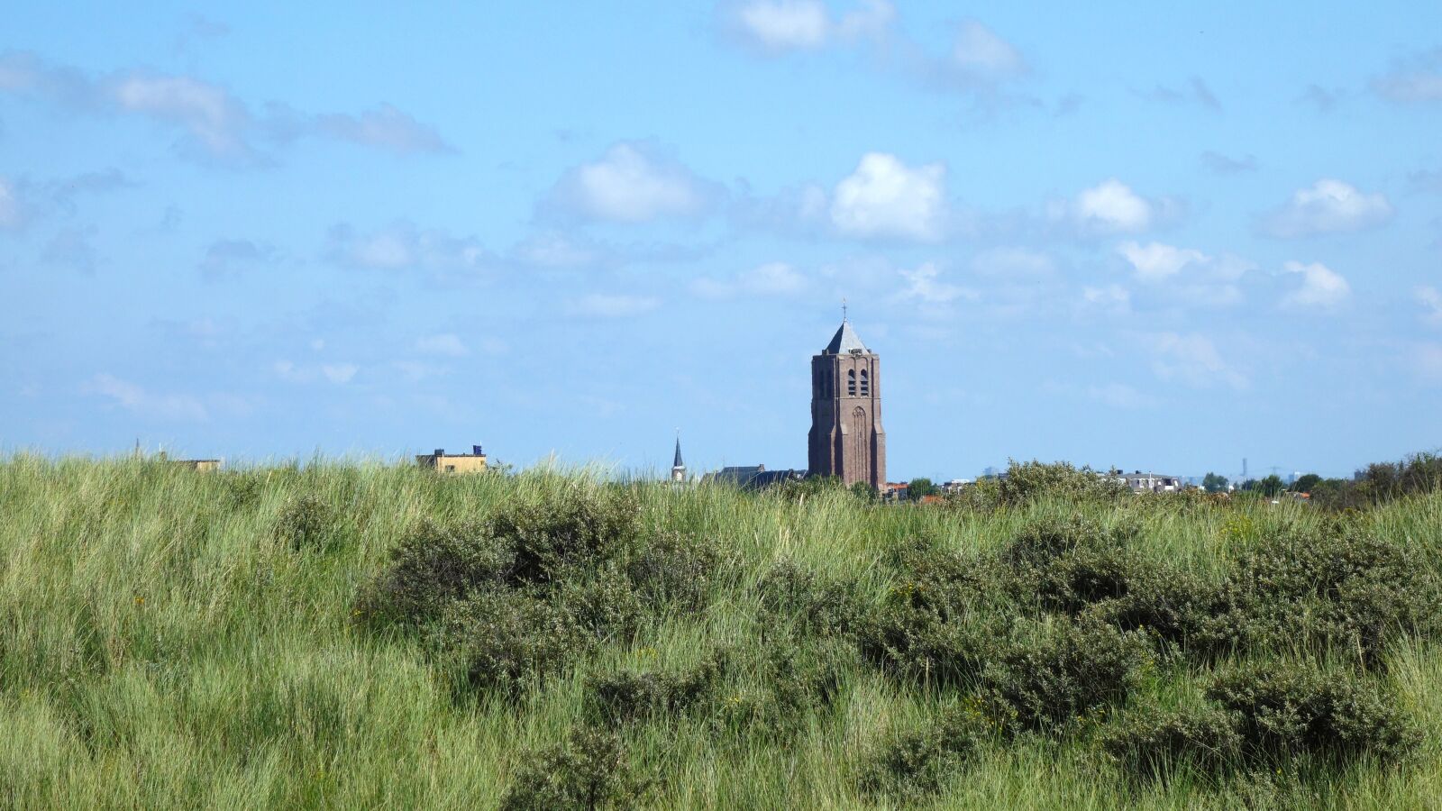 Sony Cyber-shot DSC-RX100 sample photo. Landscape, netherlands, nature photography
