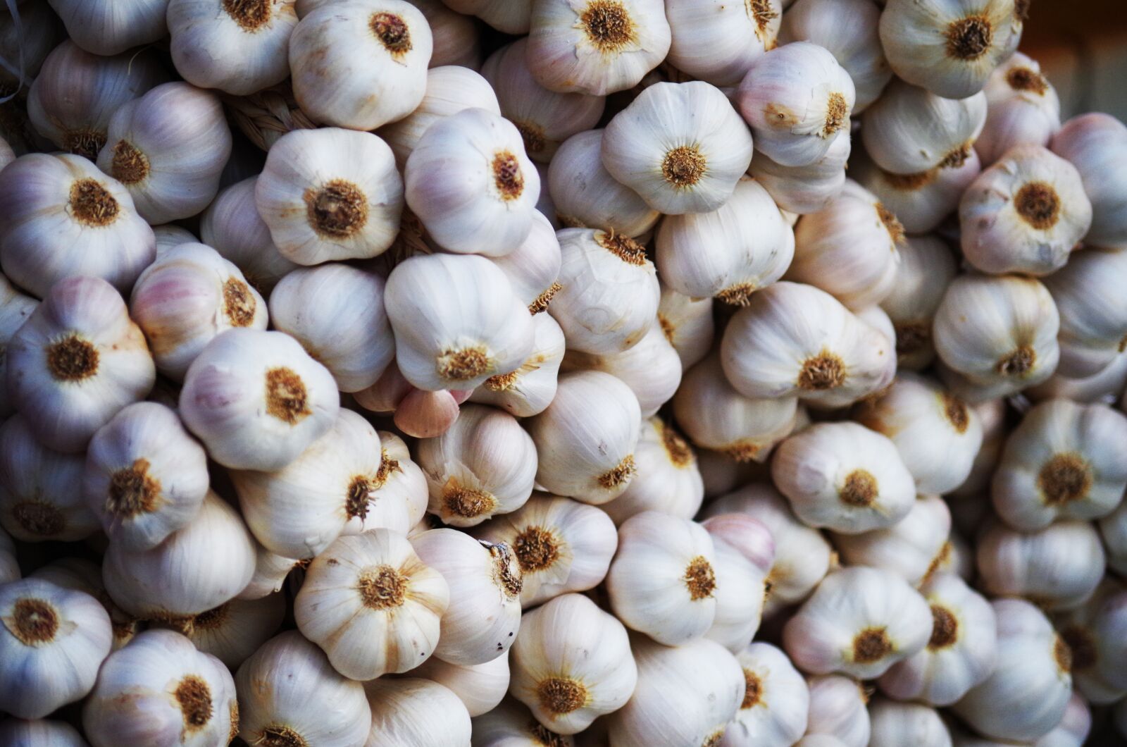 Pentax K-500 sample photo. Garlic, vegetables, healthy photography