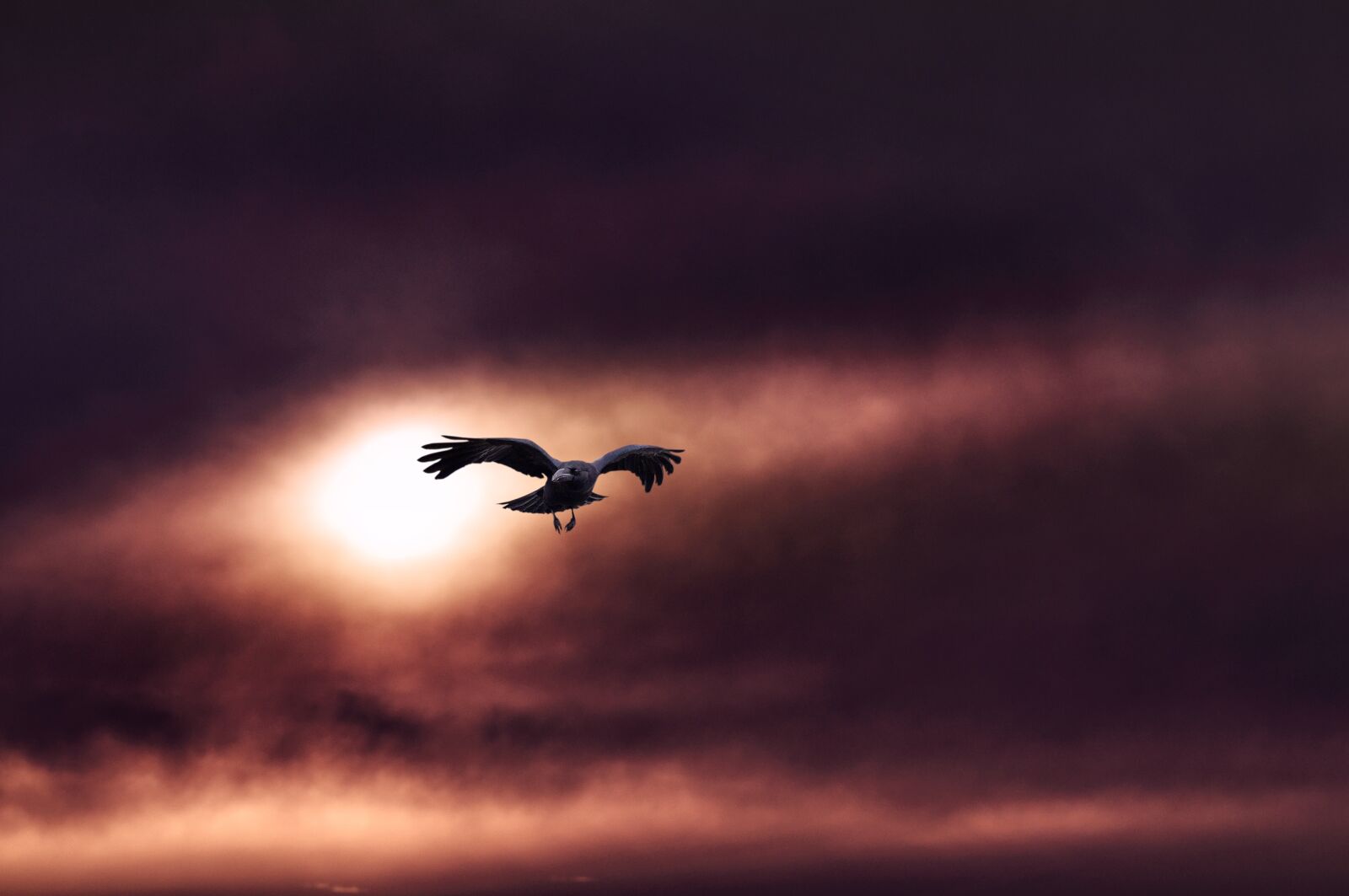 Nikon D5000 sample photo. Landscape, sunset, sky photography